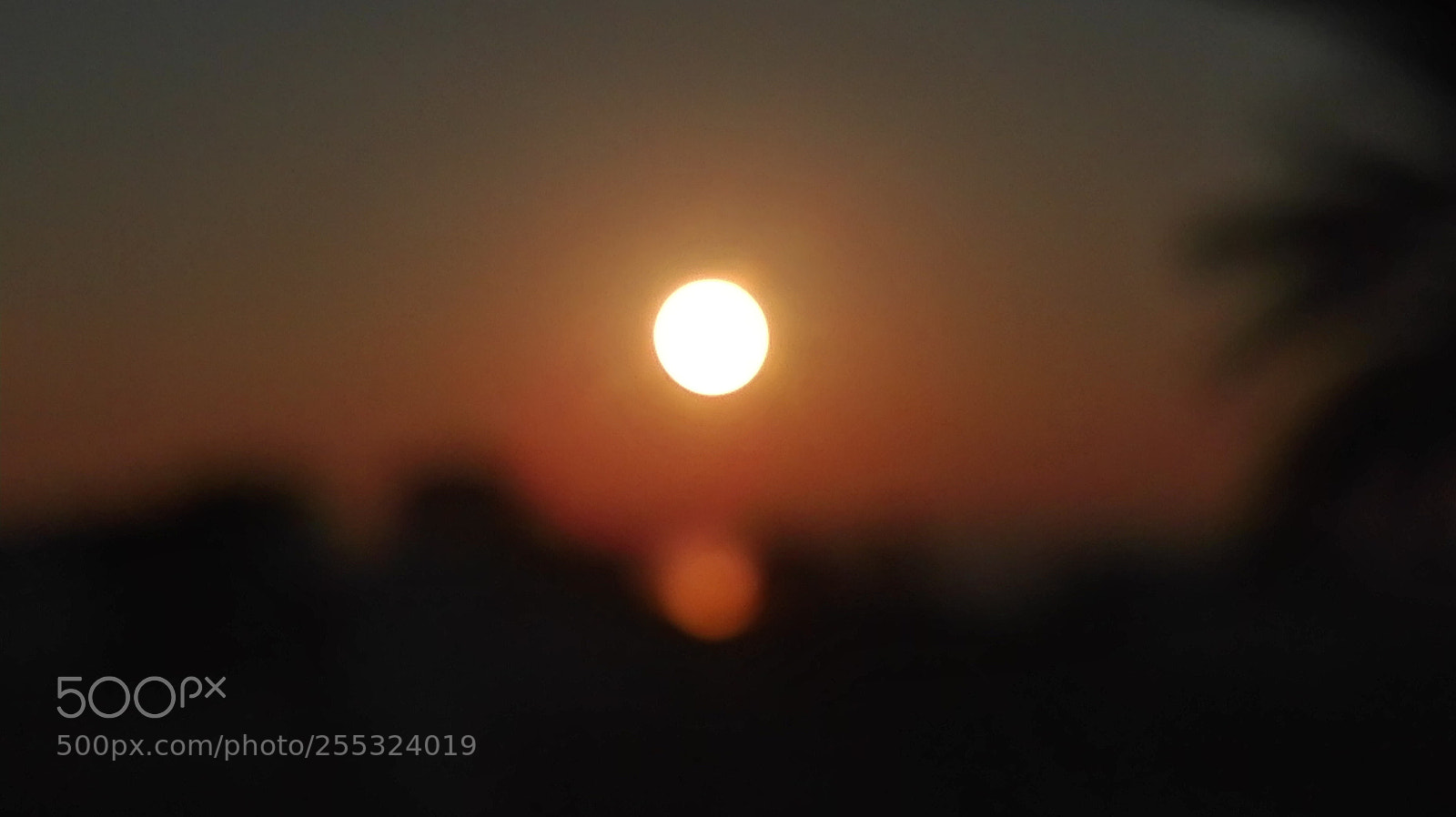 HUAWEI P8 Lite sample photo. Blur sun photography