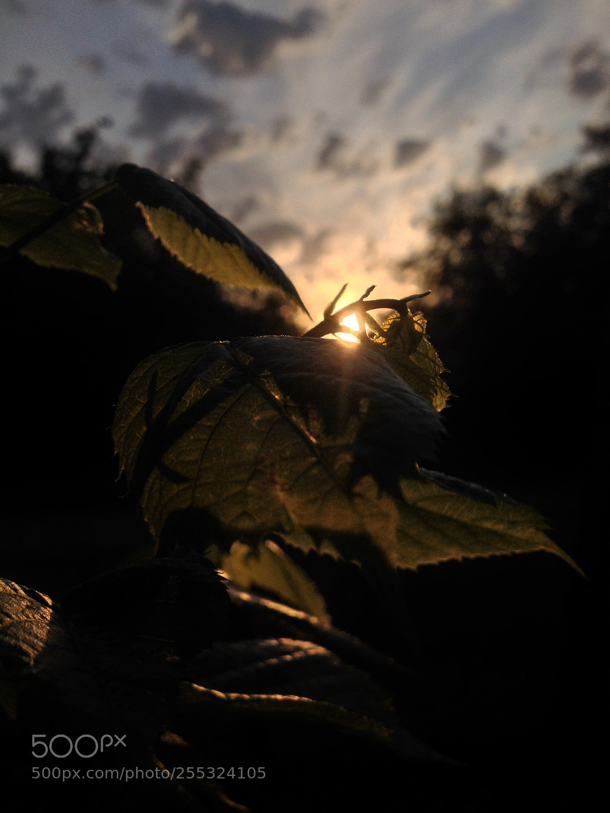 Apple iPhone 4S sample photo. Sunset photography