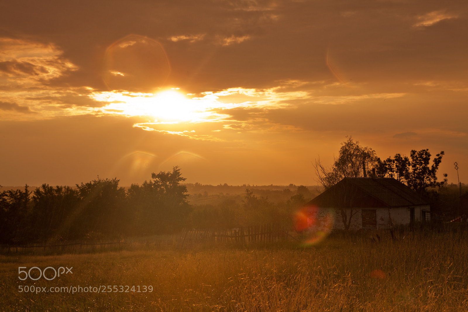 Canon EOS 50D sample photo. Nobody's house photography