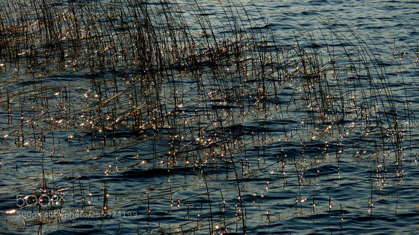 Panasonic DMC-TZ7 sample photo. Nature o photography