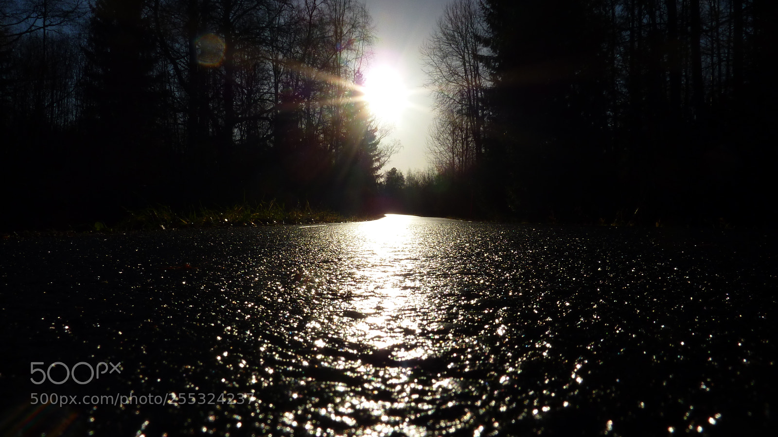 Panasonic DMC-TZ7 sample photo. Nature o photography