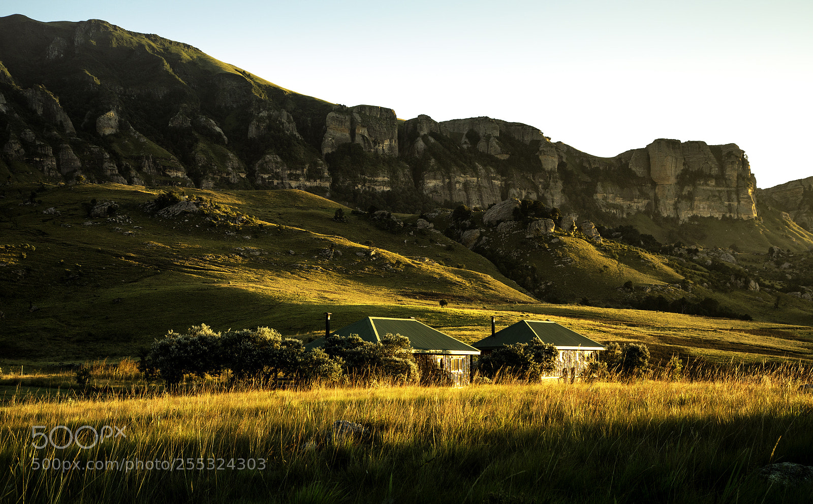 Canon EOS 5D Mark IV sample photo. A morning in the photography