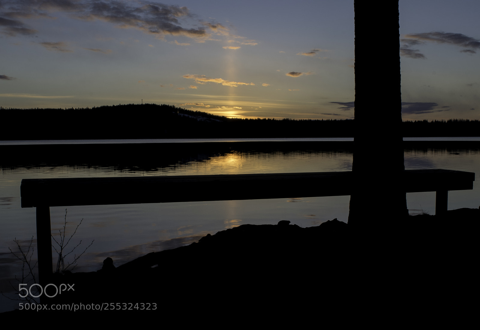 Nikon D5300 sample photo. Nature o photography