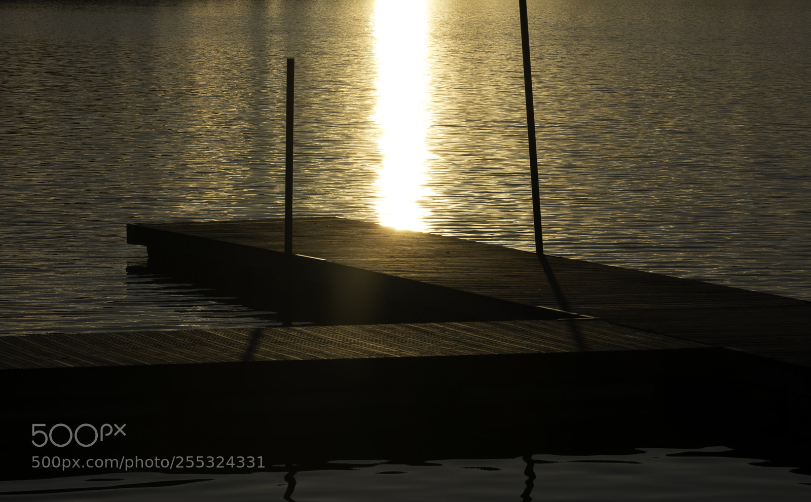 Nikon D5300 sample photo. Nature o photography