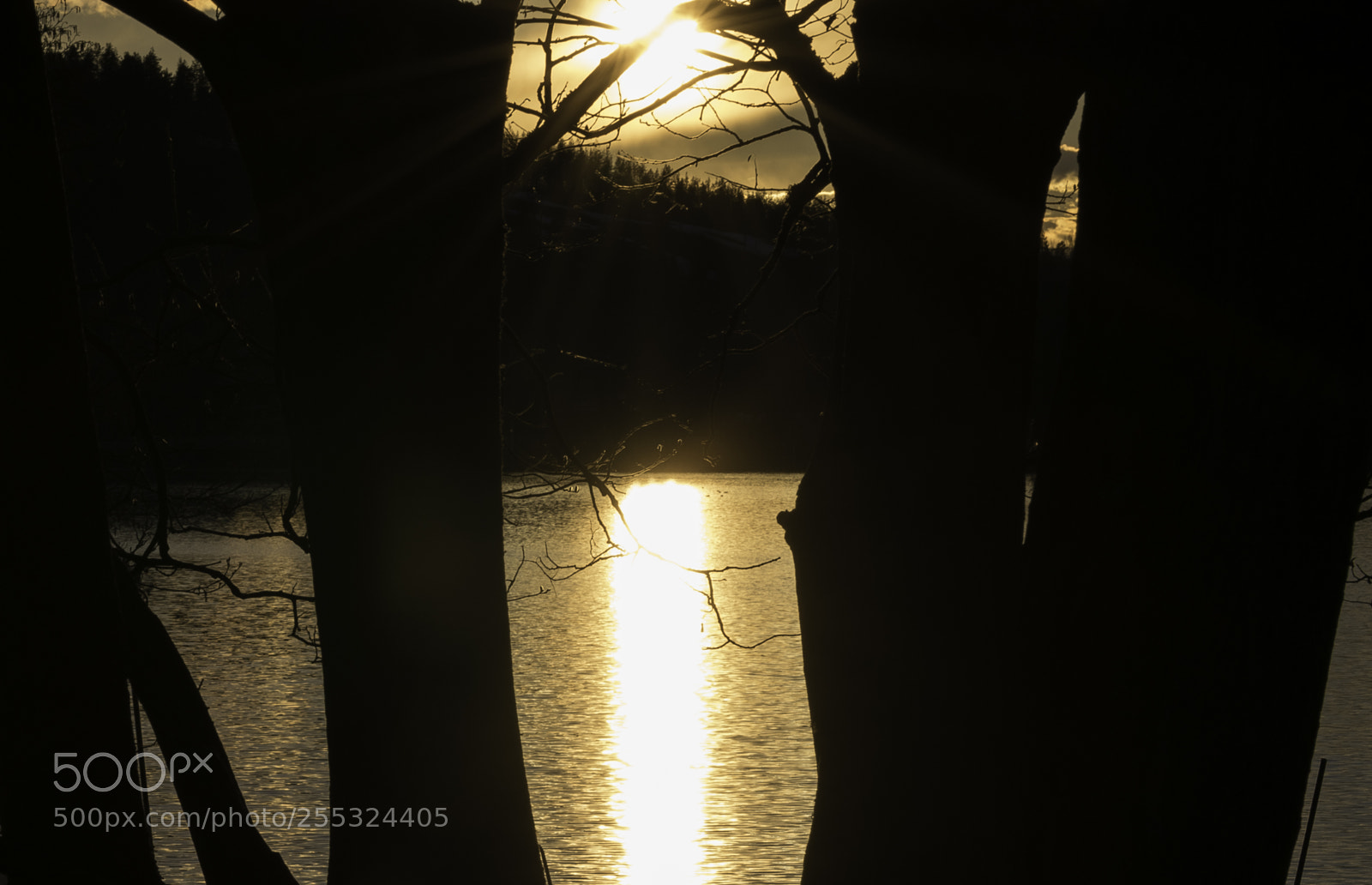 Nikon D5300 sample photo. Nature o photography