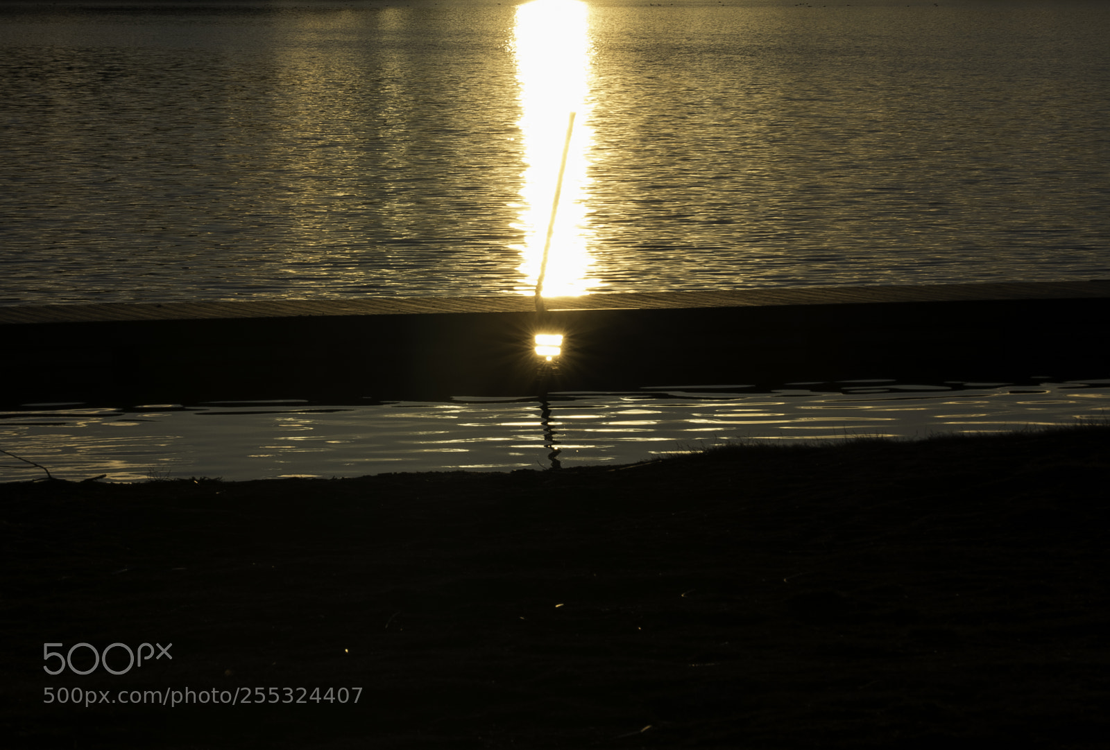 Nikon D5300 sample photo. Nature o photography