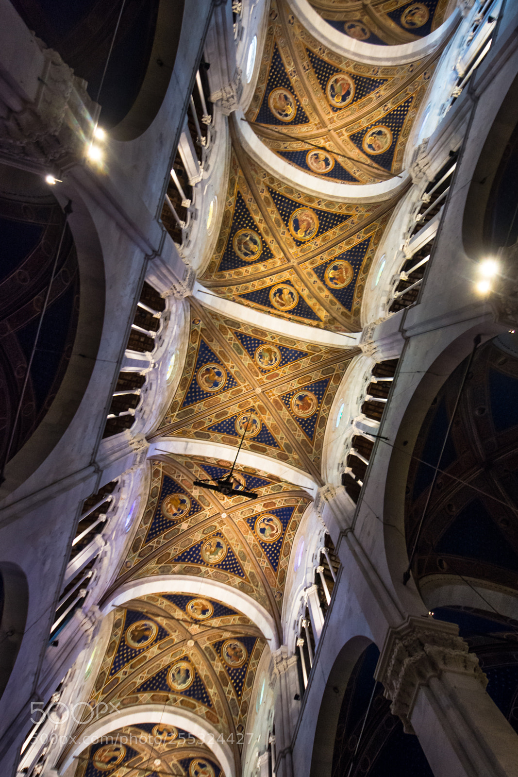 Nikon D7100 sample photo. Ceiling of lucca cathedral photography