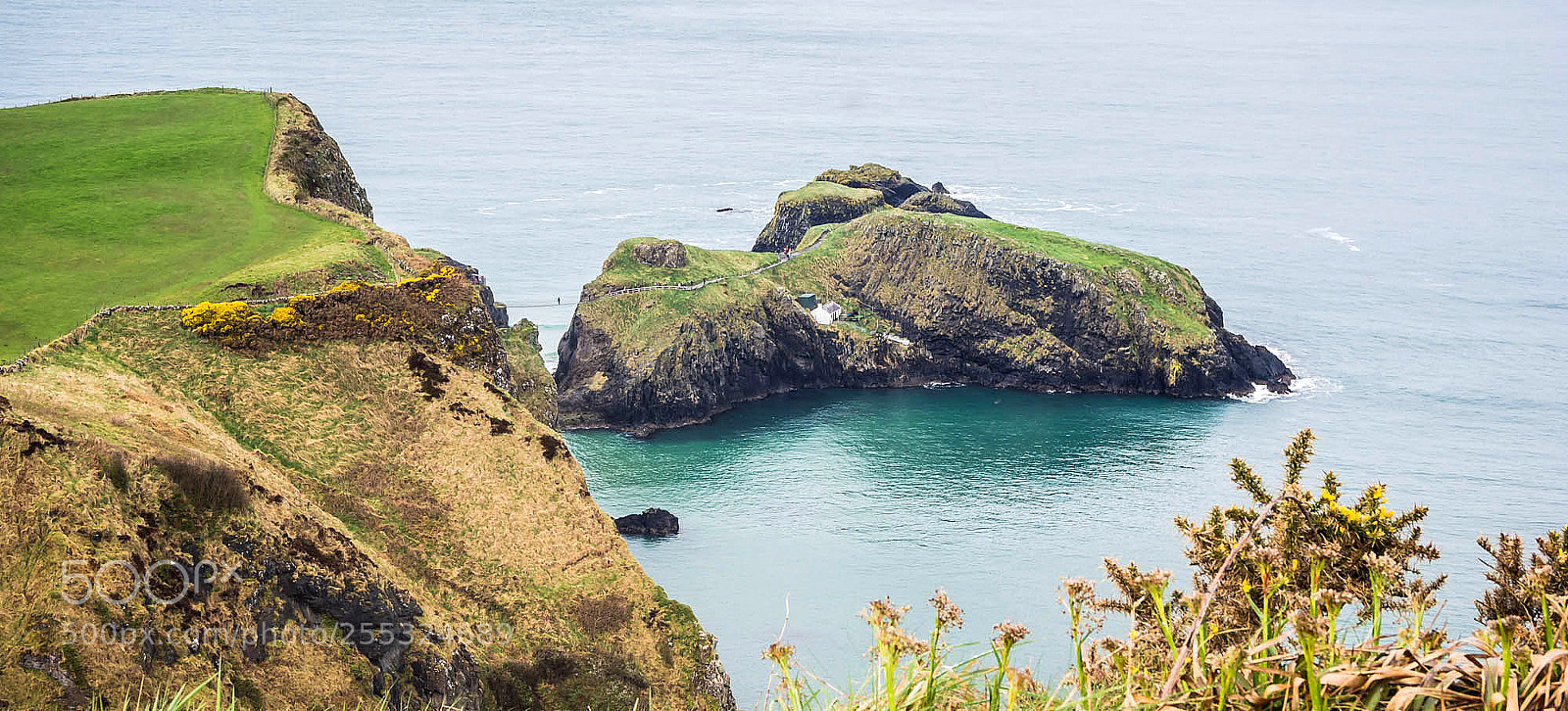 Olympus OM-D E-M5 sample photo. Carrick-a-rede rope bridge on photography