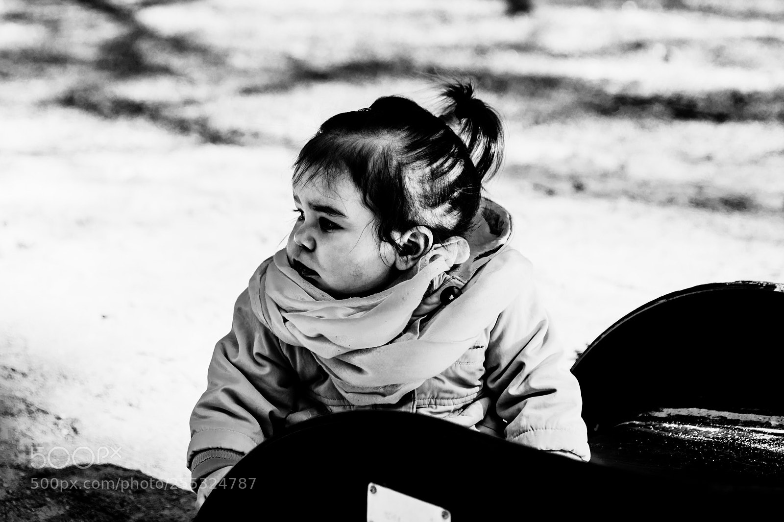 Canon EOS 80D sample photo. Img photography