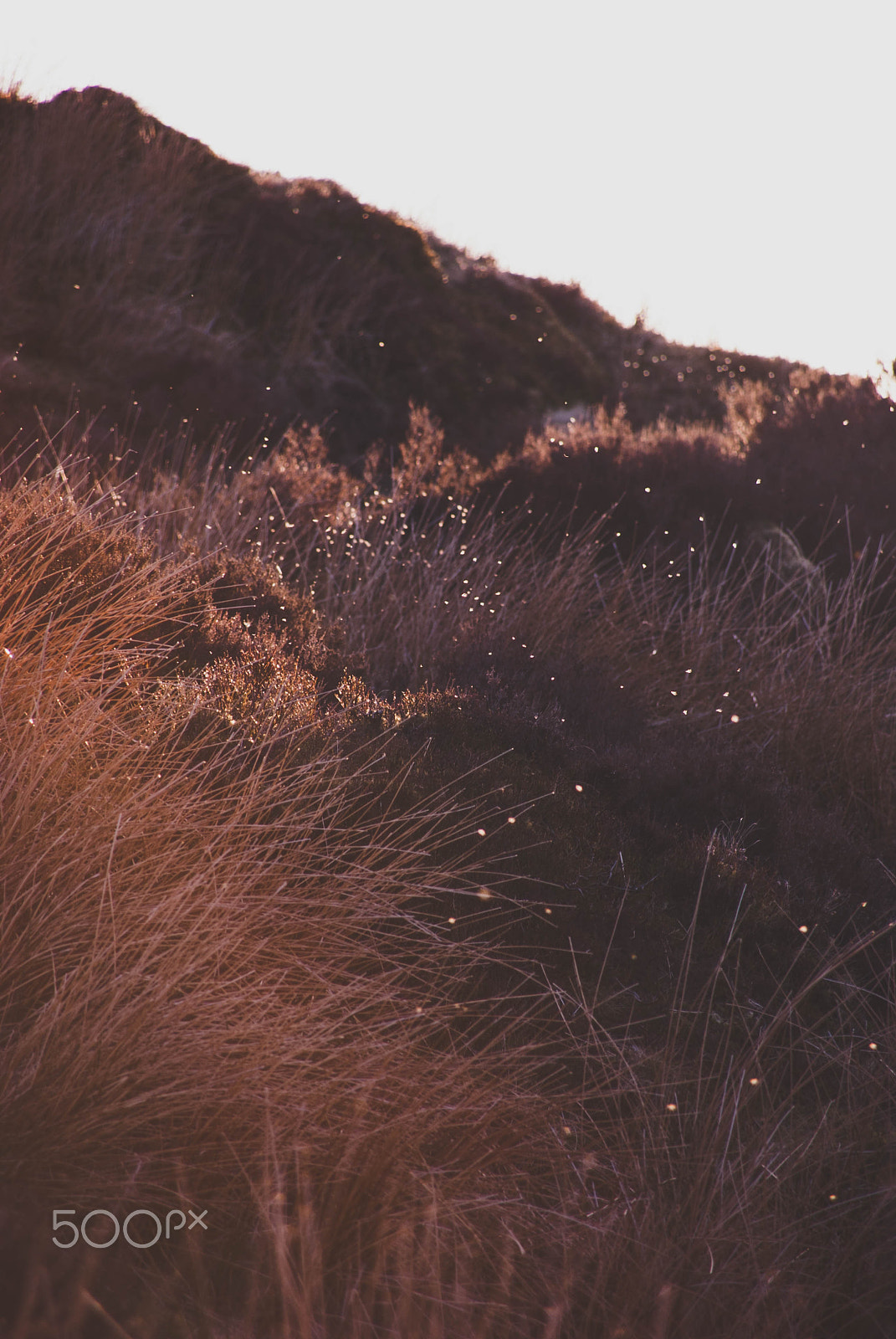 Sony Alpha DSLR-A330 sample photo. Wicklow mountains photography