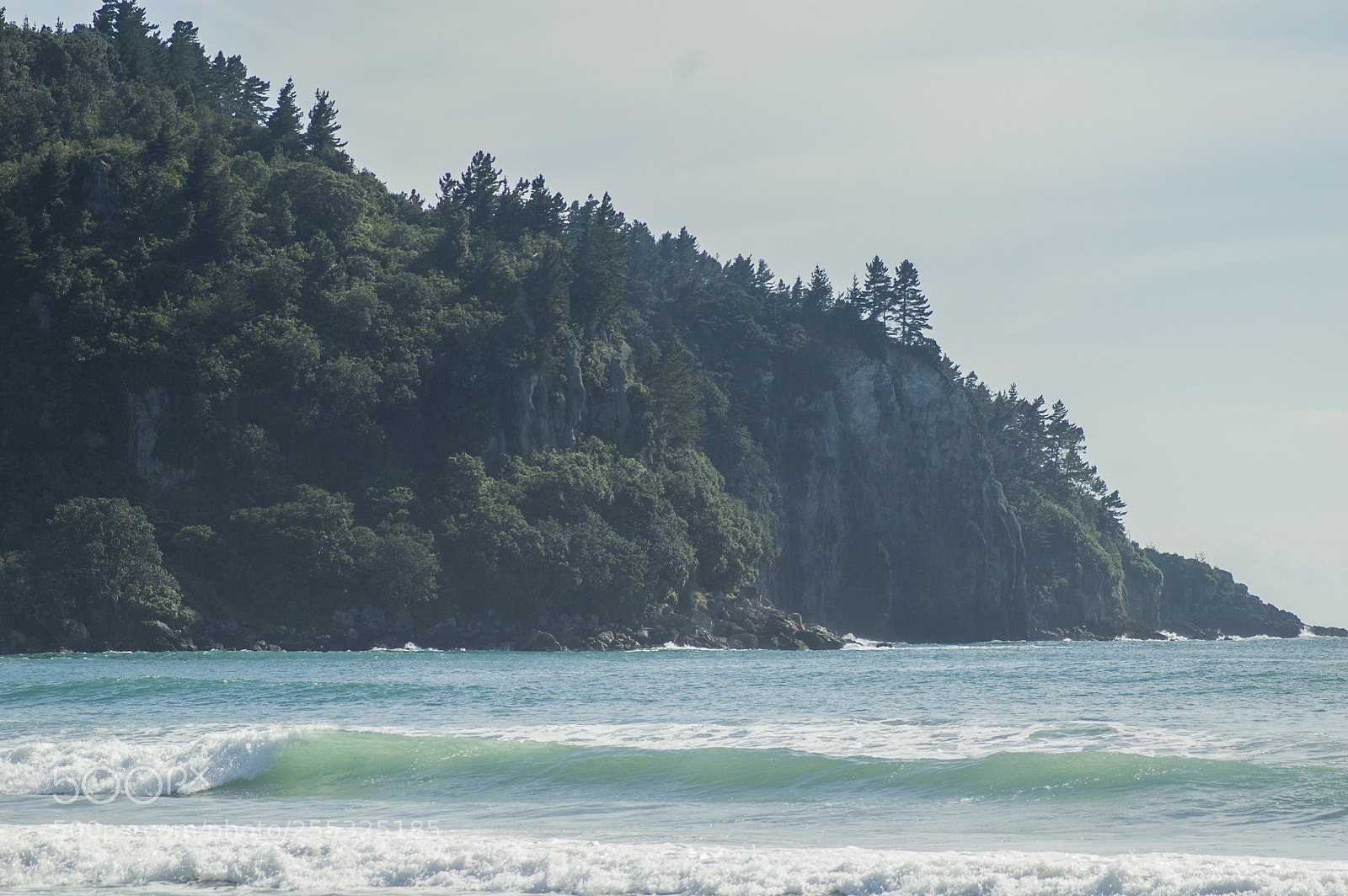 Nikon D50 sample photo. Surf beach photography