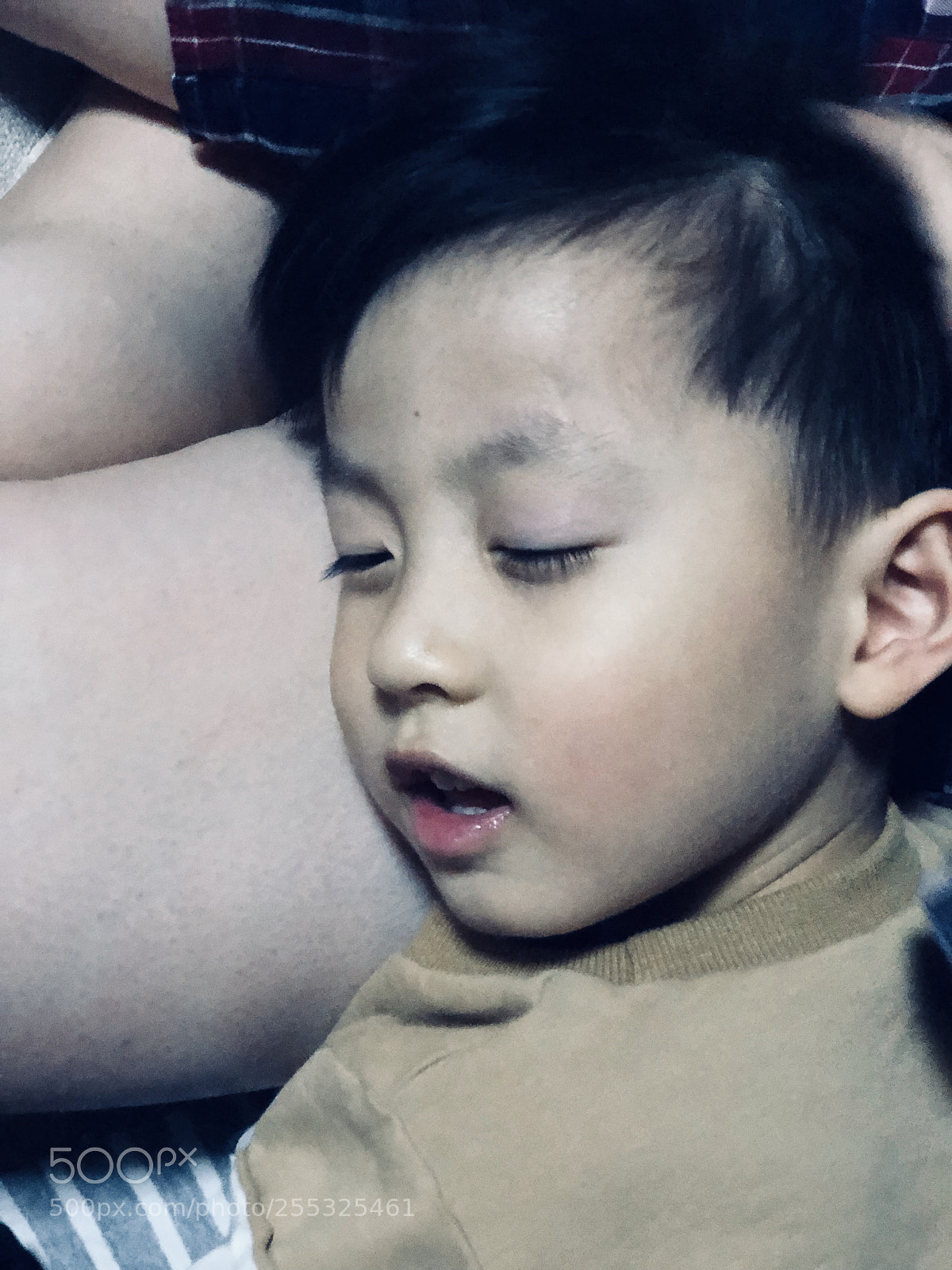 Apple iPhone 8 Plus sample photo. Untitled photography