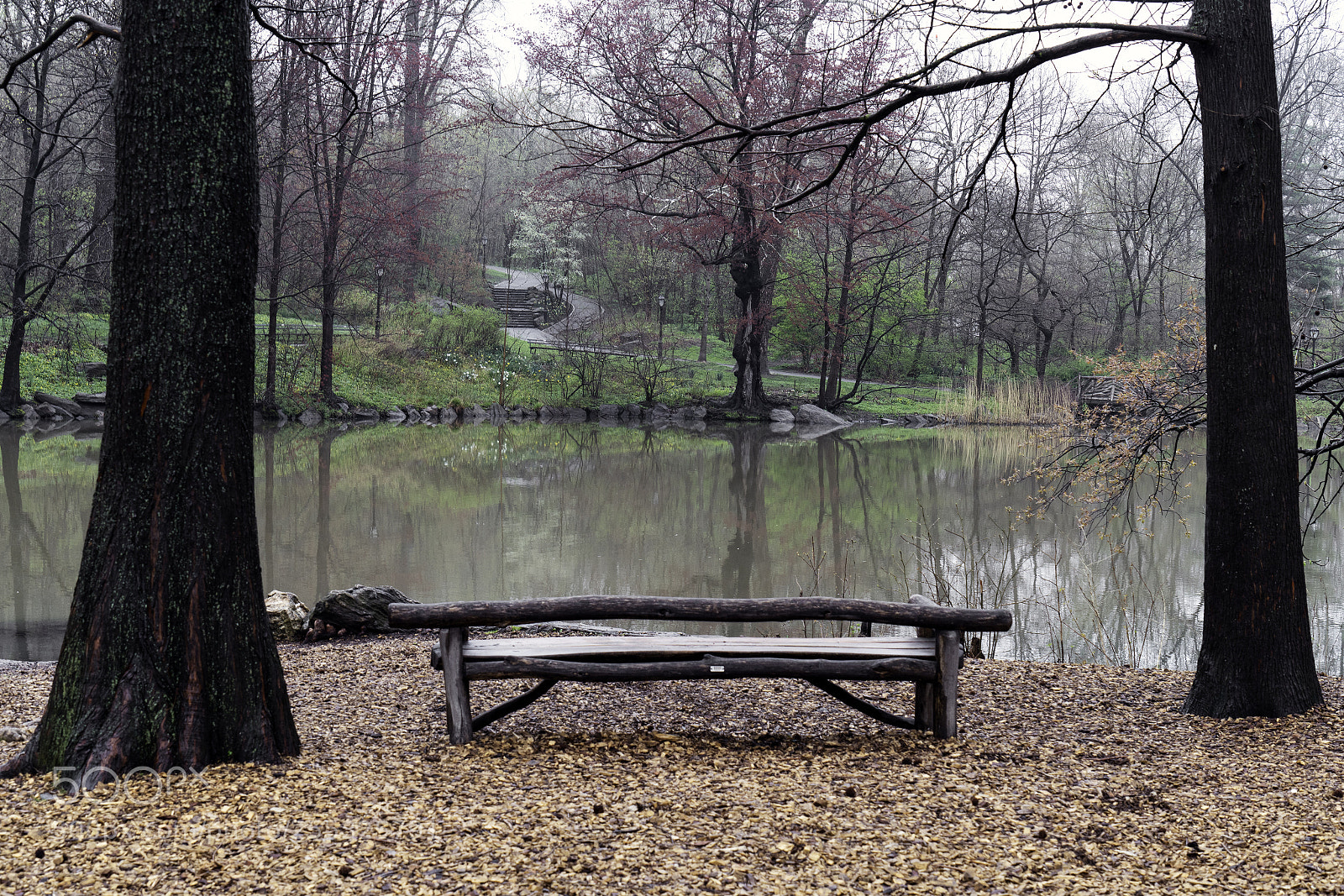 Sony a7R II sample photo. Tranquility bench photography