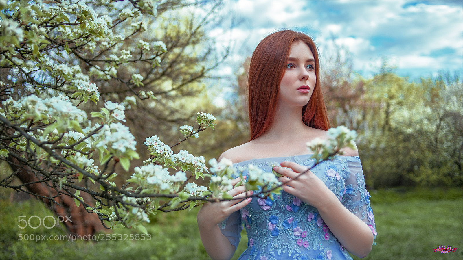 Canon EOS 5D Mark II sample photo. Alexandra bloom photography