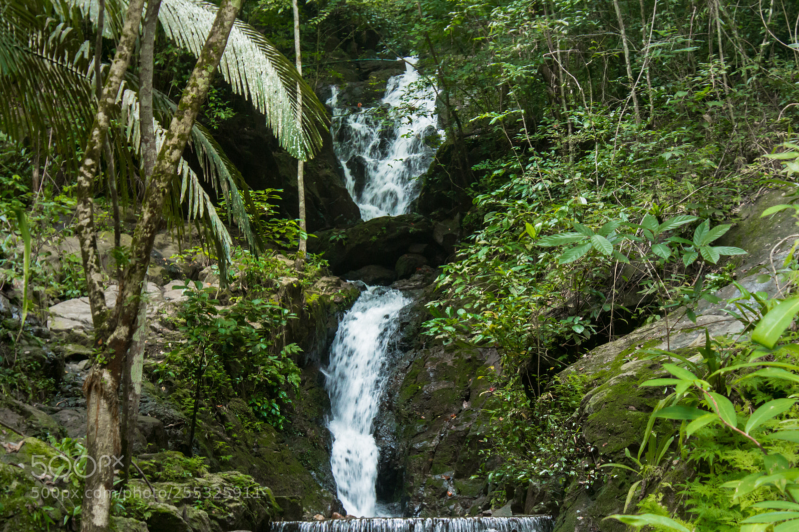 Canon EOS 650D (EOS Rebel T4i / EOS Kiss X6i) sample photo. Waterfall in the forest photography