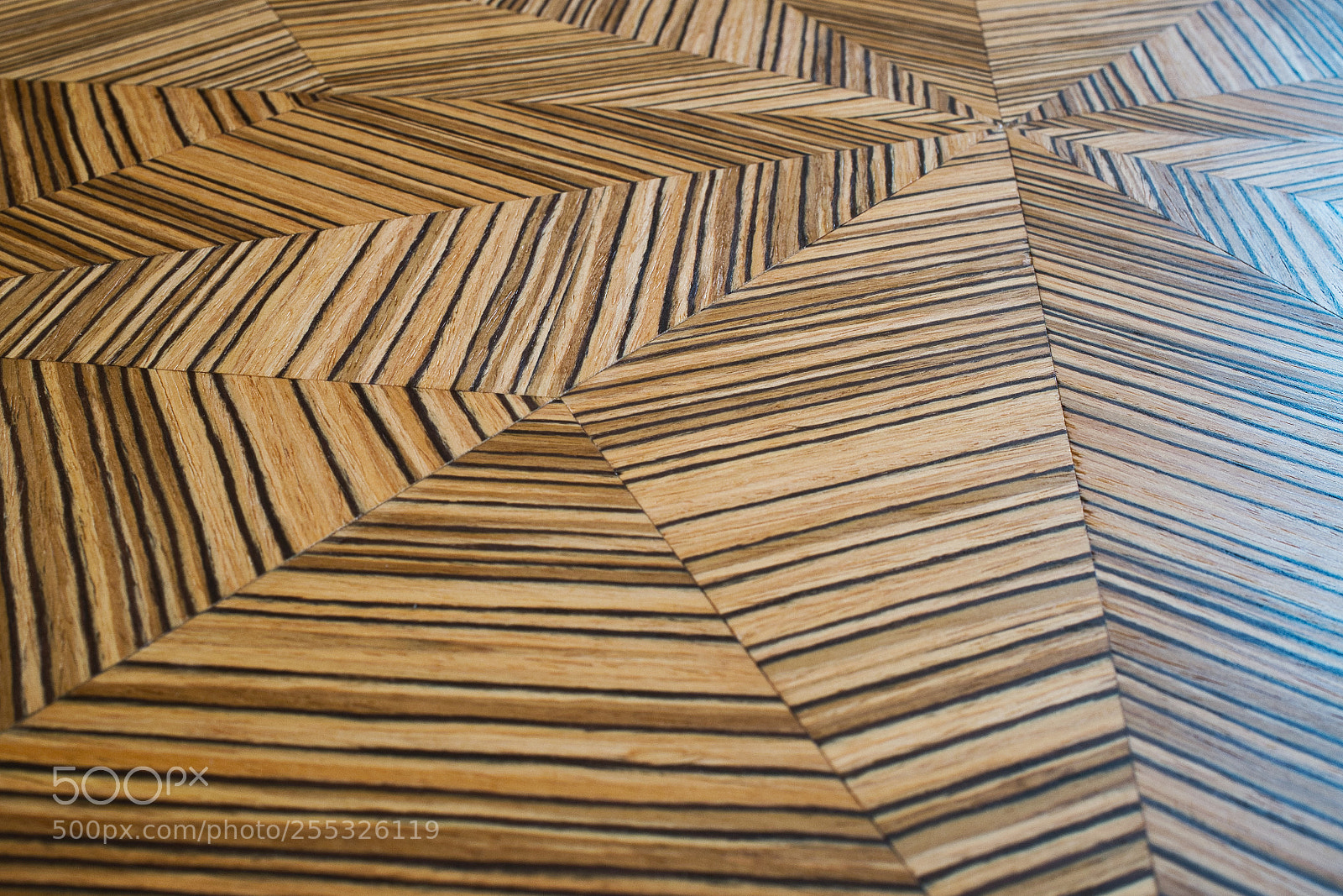 Fujifilm X100S sample photo. Zebrawood landscape photography