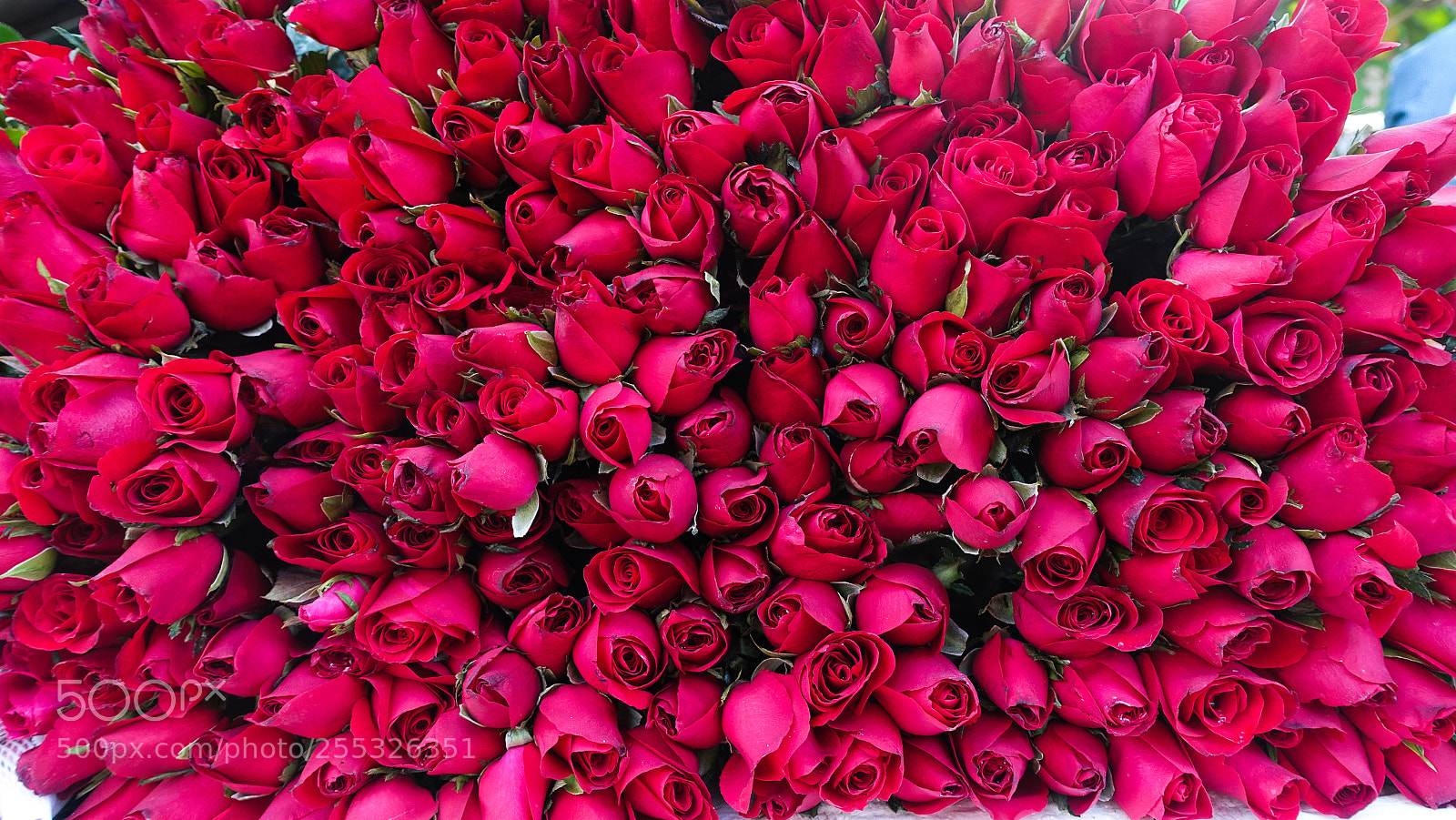 Sony Cyber-shot DSC-RX100 III sample photo. Flowers on the market photography