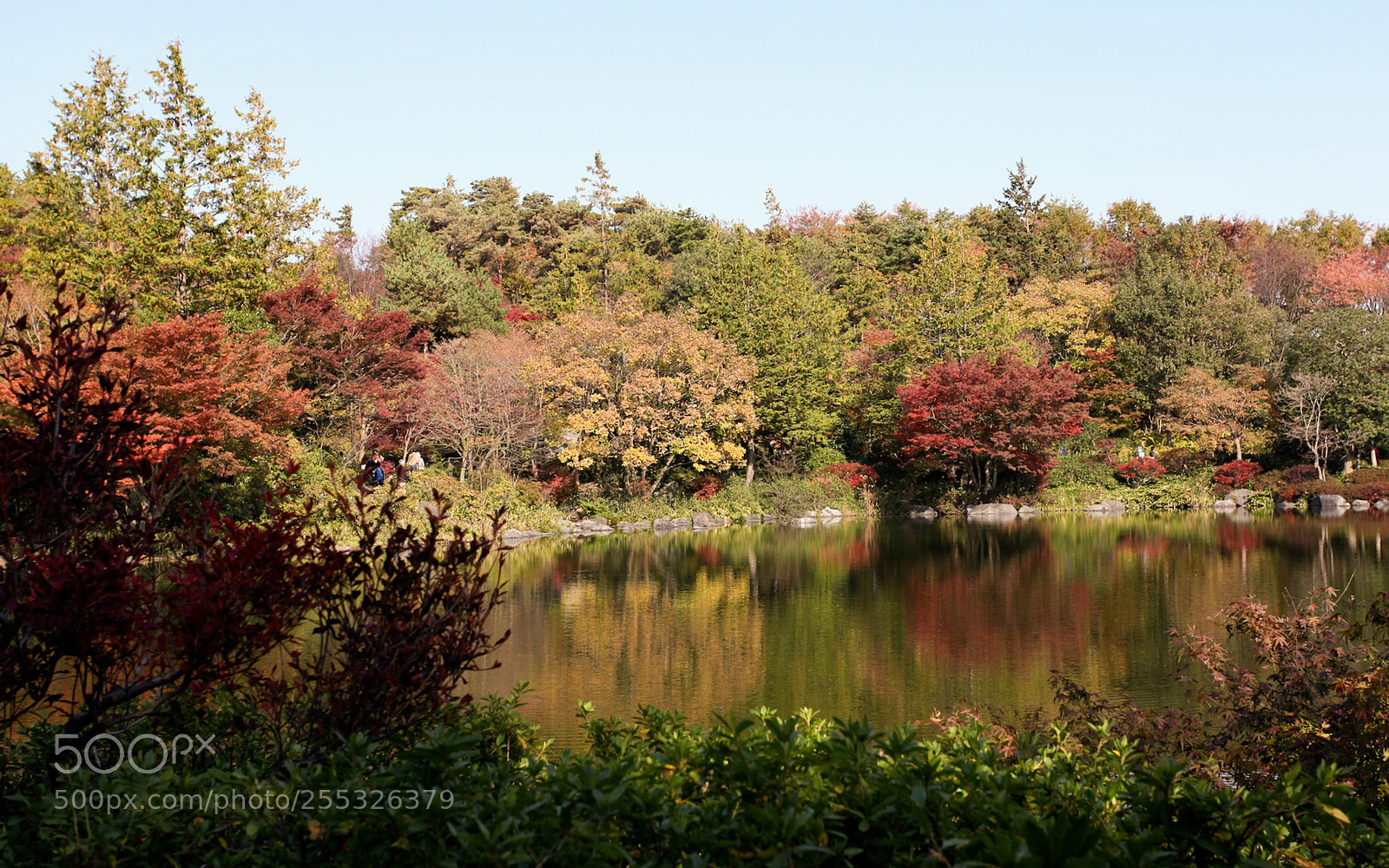 Canon EOS 5D Mark II sample photo. Showa kinen park in photography