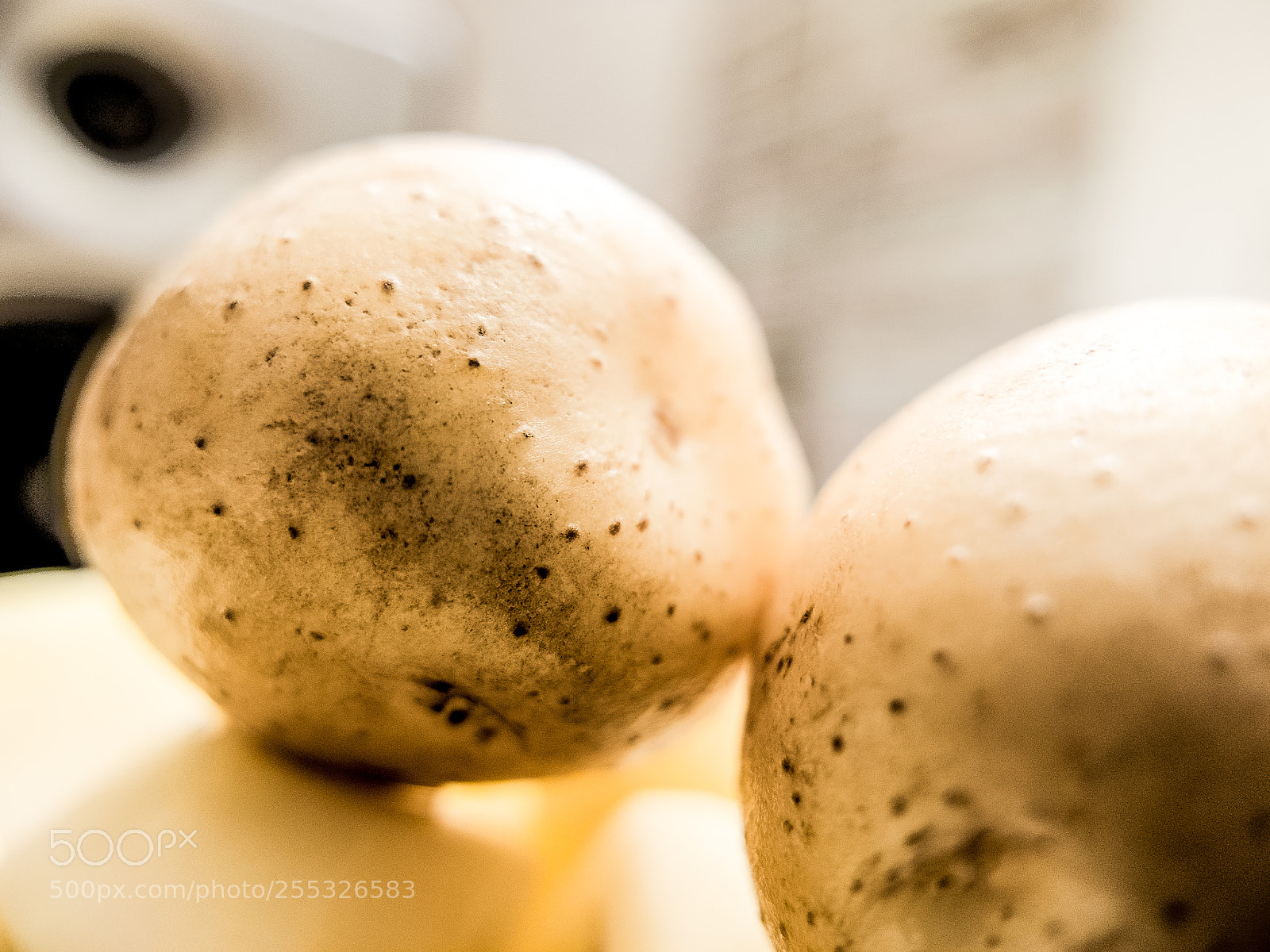 Fujifilm X10 sample photo. Potato.土豆 photography