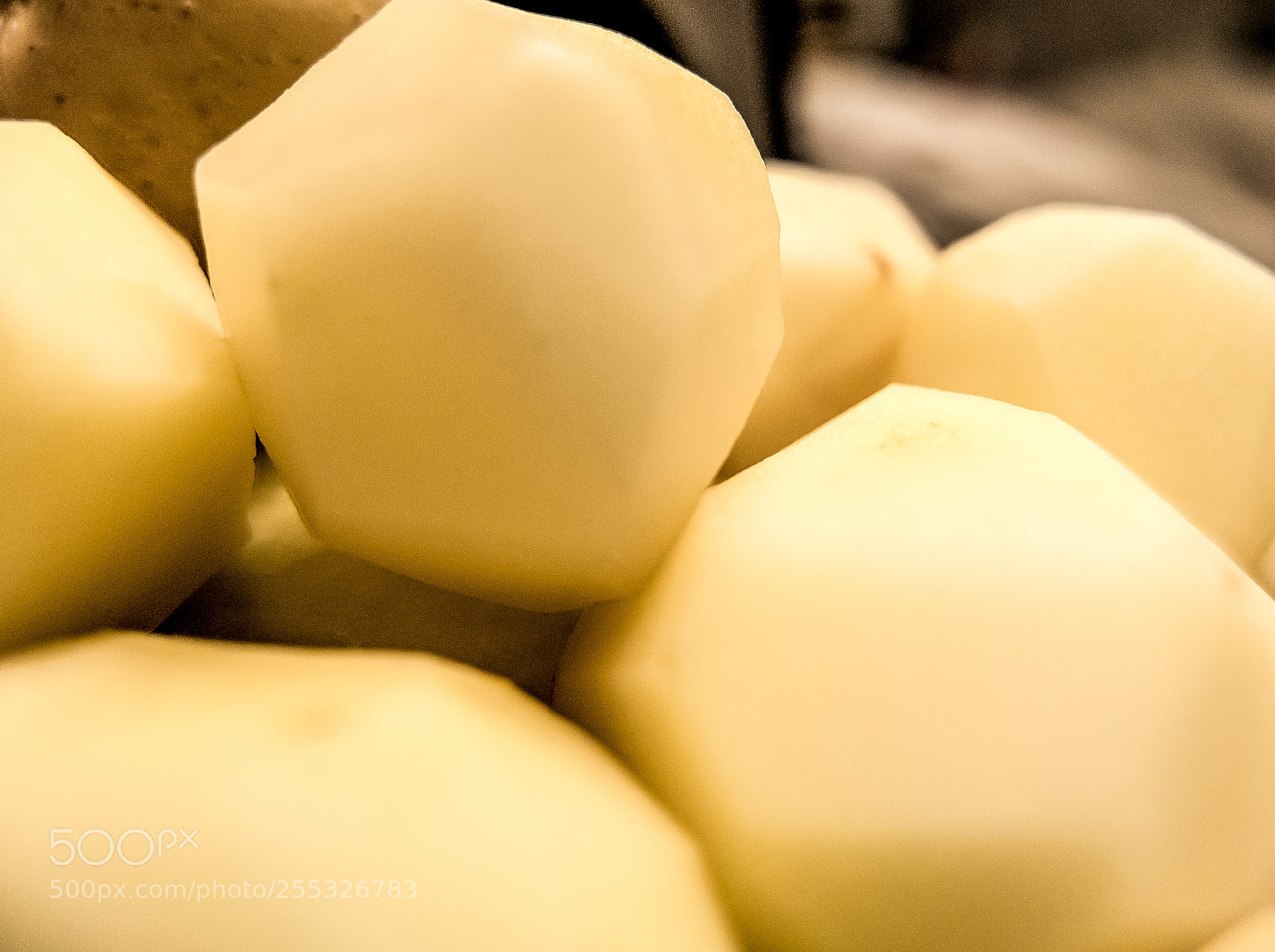 Fujifilm X10 sample photo. Potato.土豆 photography