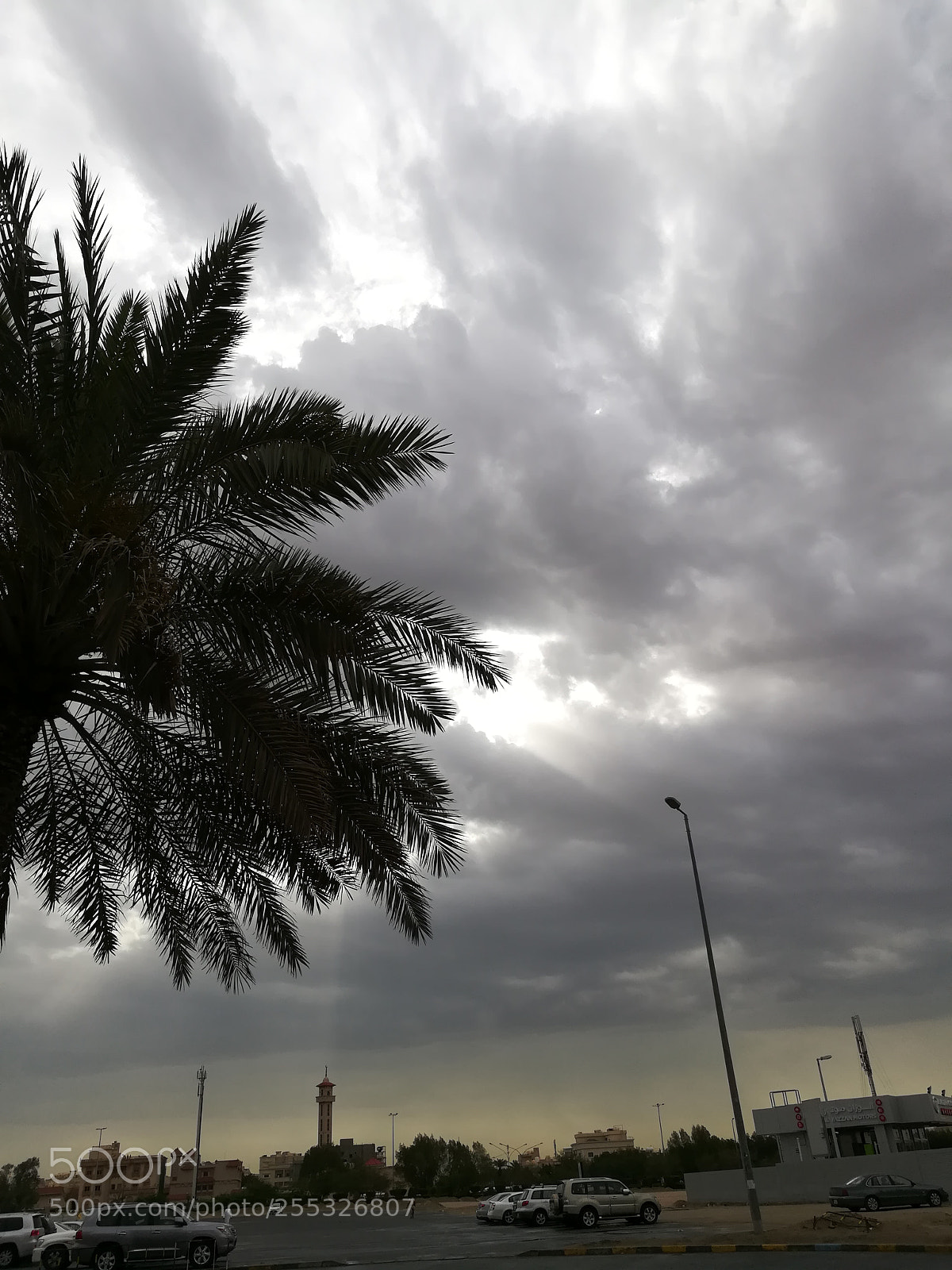 HUAWEI honor 6x sample photo. Untitled photography