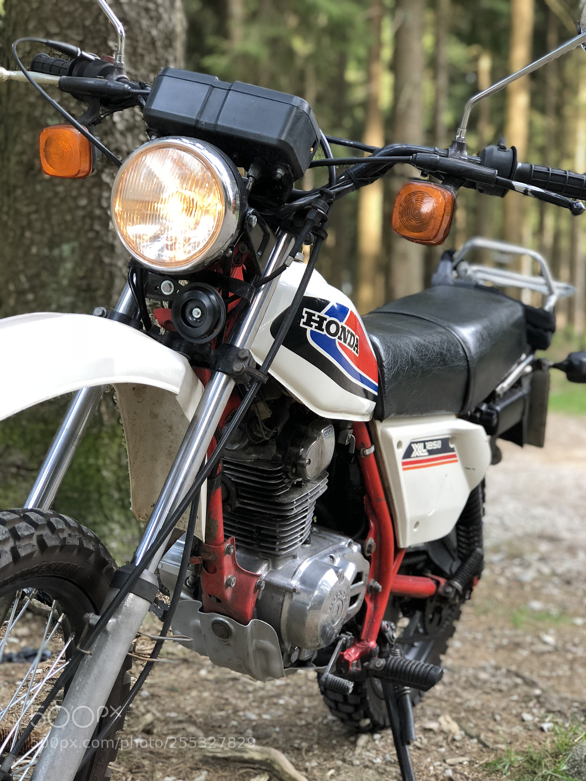 Apple iPhone 8 Plus sample photo. Honda xl 185 enjoying photography