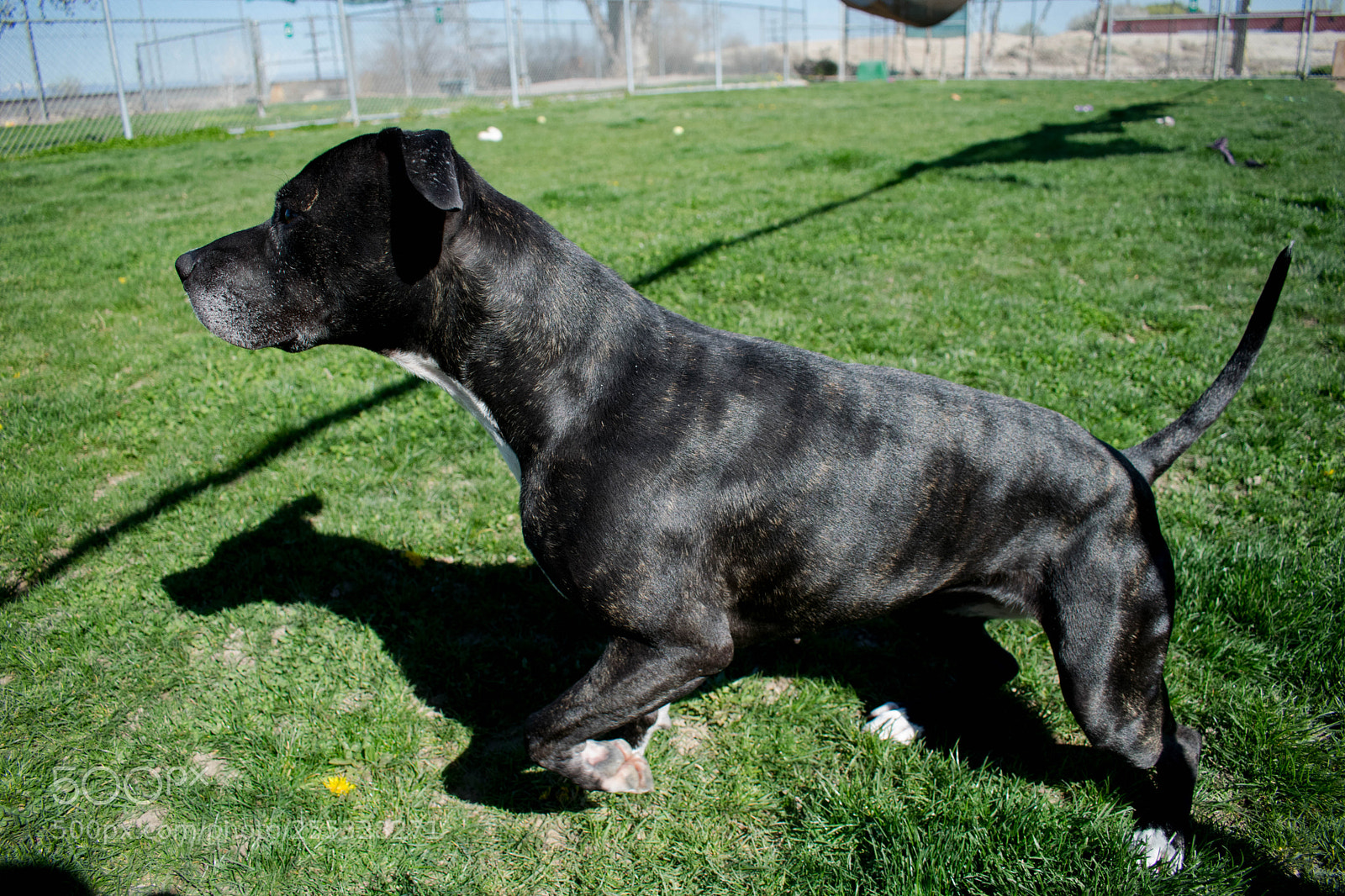 Nikon D5300 sample photo. Betsy photography