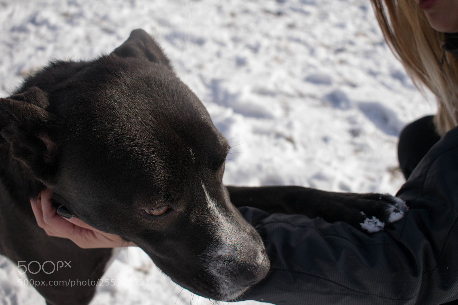 Nikon D5300 sample photo. Levis photography