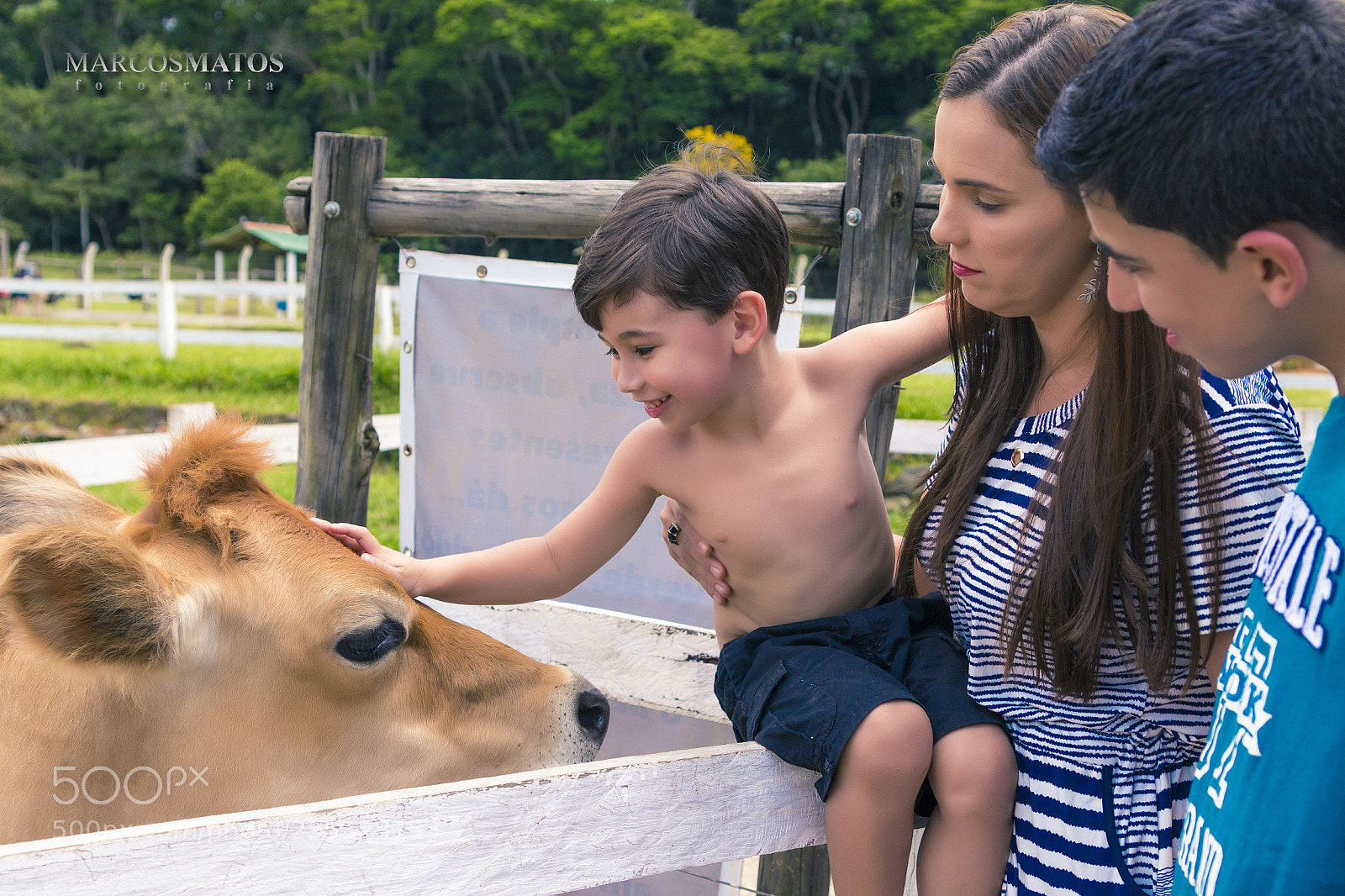 Canon EOS 700D (EOS Rebel T5i / EOS Kiss X7i) sample photo. Marcosmatosfotografia photography