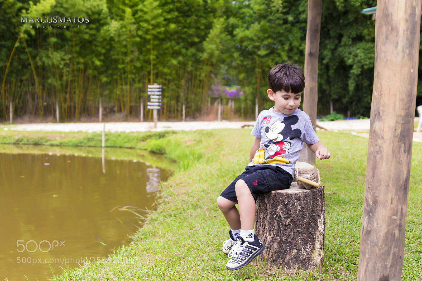 Canon EOS 700D (EOS Rebel T5i / EOS Kiss X7i) sample photo. Marcosmatosfotografia photography