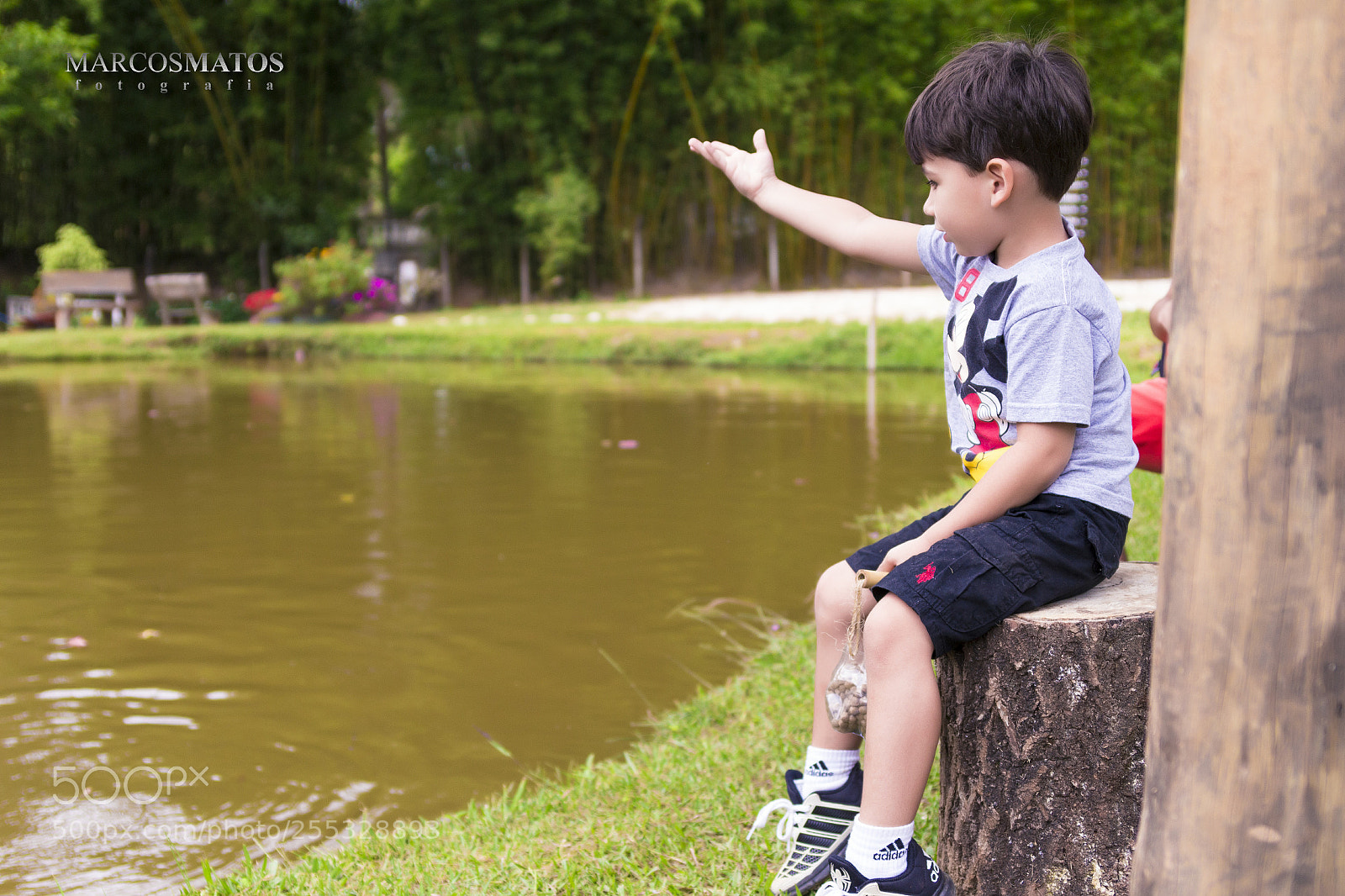 Canon EOS 700D (EOS Rebel T5i / EOS Kiss X7i) sample photo. Marcosmatosfotografia photography