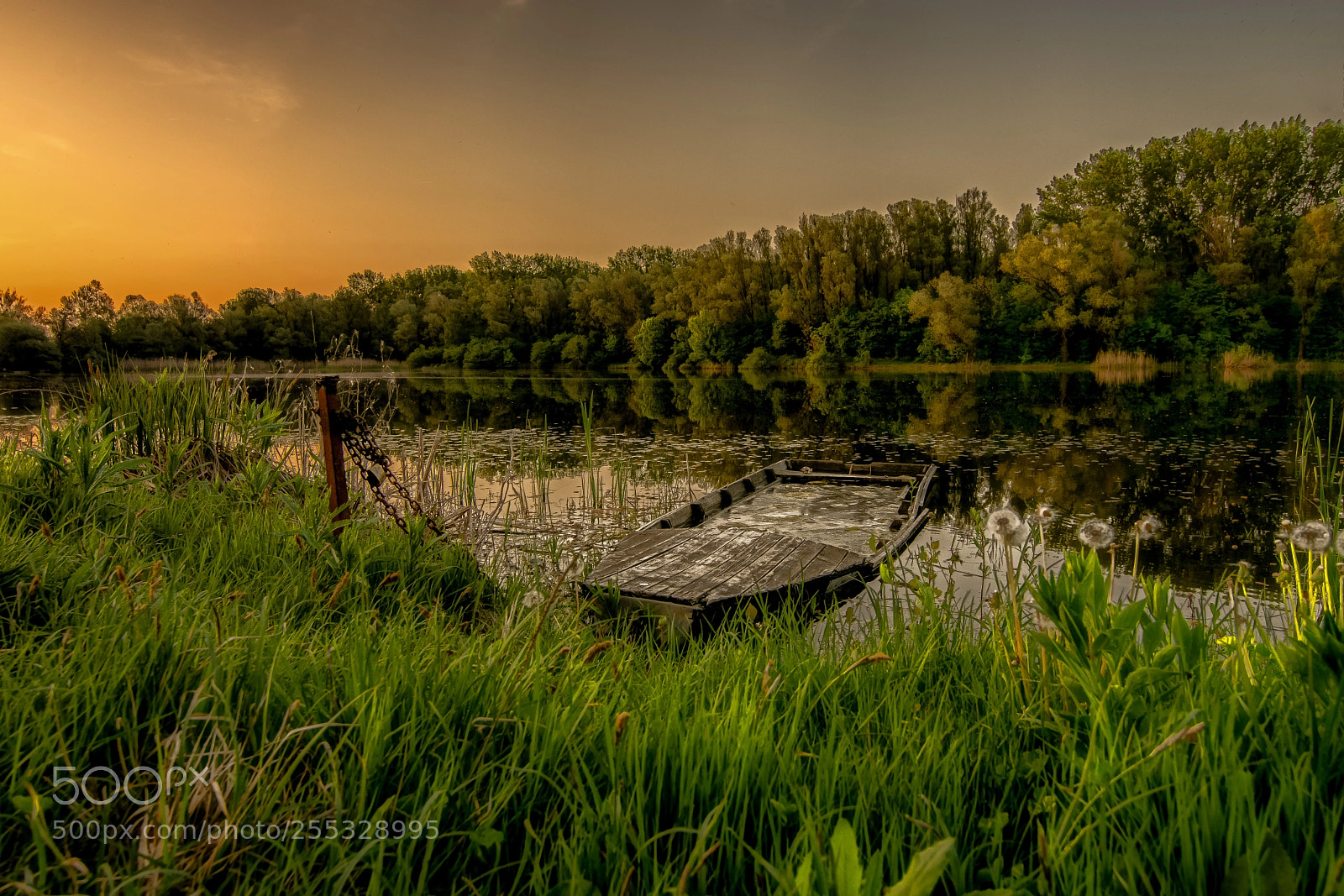 Nikon D7100 sample photo. The sound of silence photography