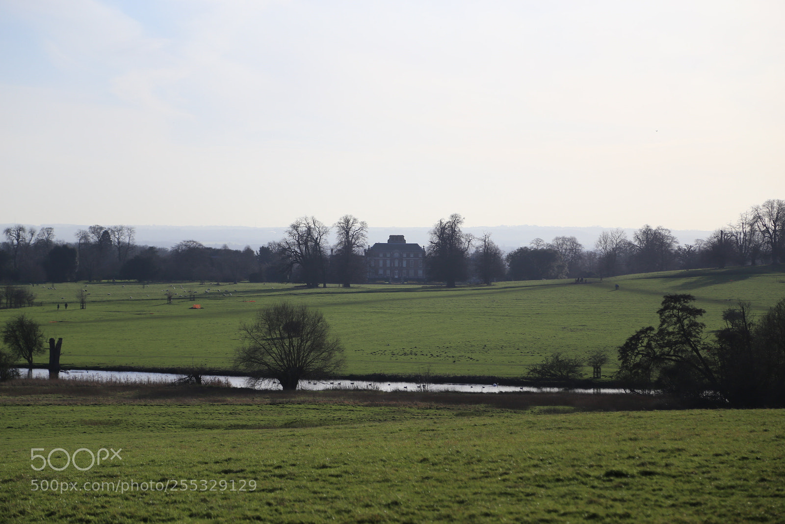 Canon EOS 6D + Canon EF 24-105mm F4L IS USM sample photo. National trust, wimpole hall photography