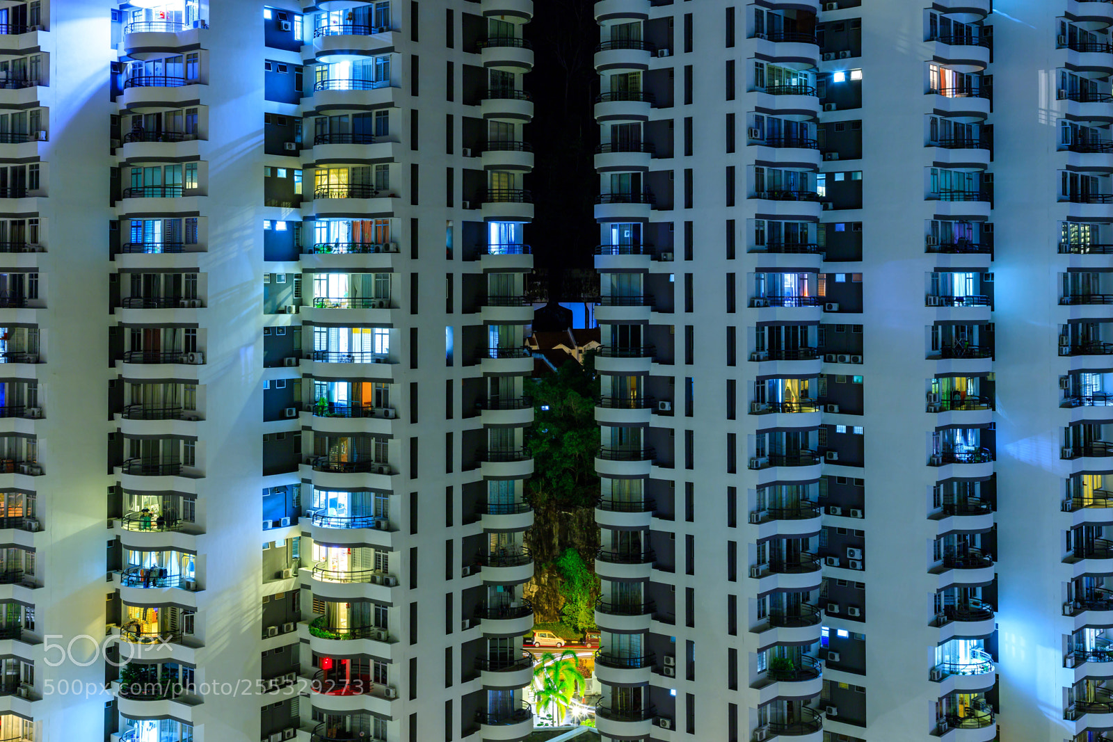 Canon EOS 6D Mark II sample photo. Middle man photography