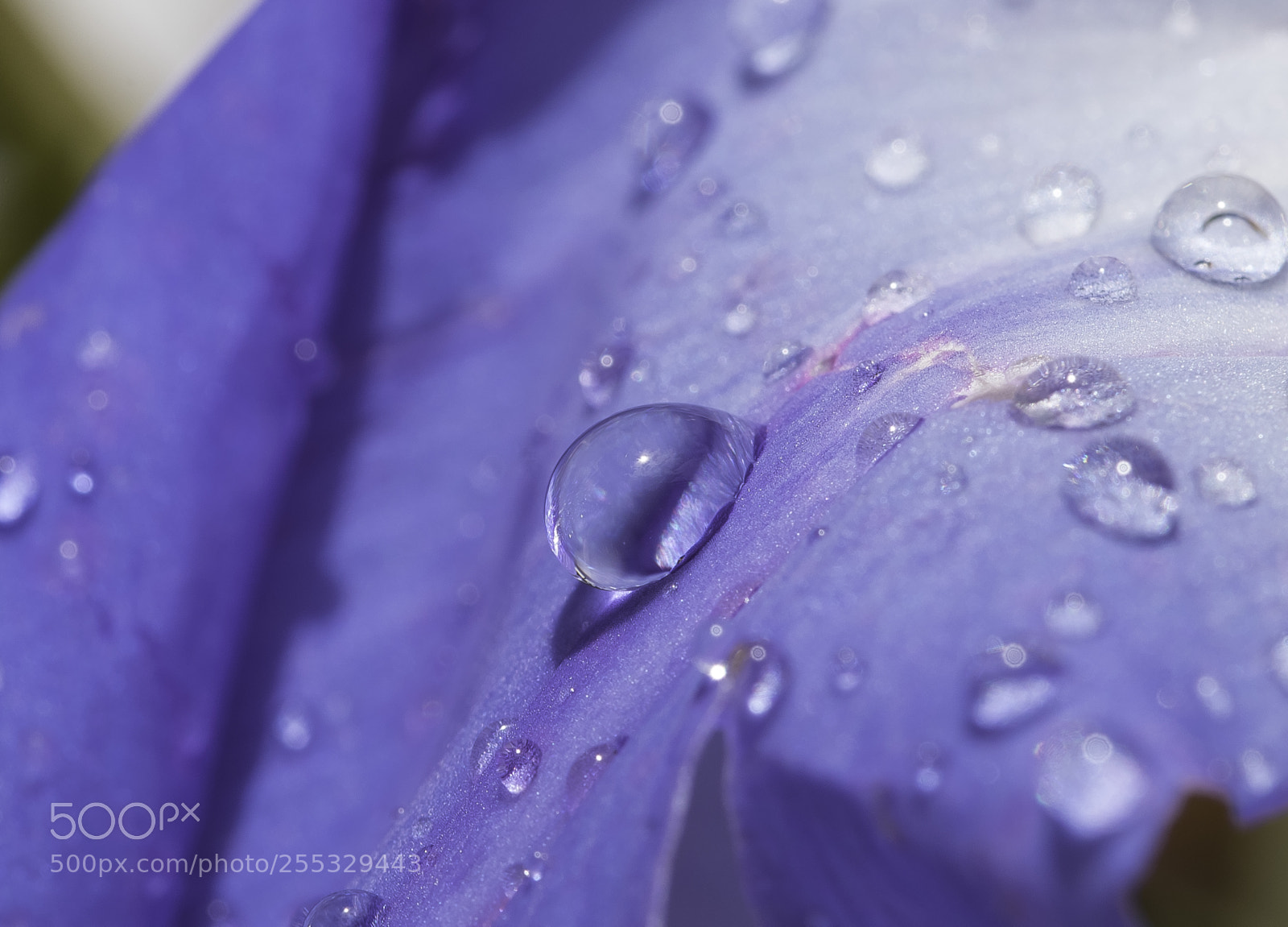 Nikon D5300 sample photo. Water o photography
