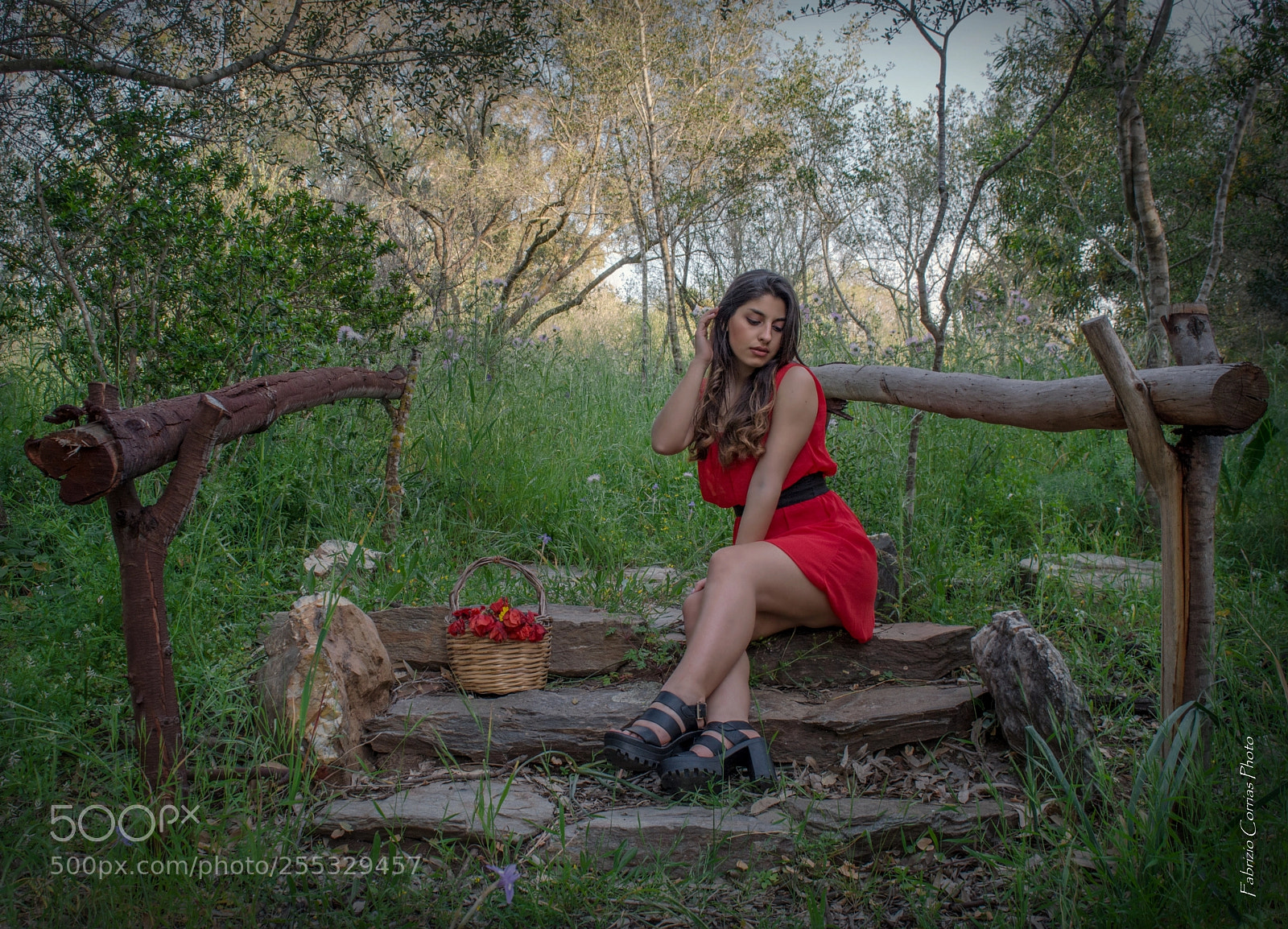 Nikon D5200 sample photo. The girl in the photography