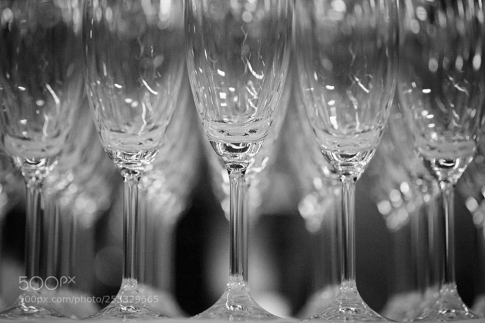 Fujifilm X-T10 sample photo. Lined up photography
