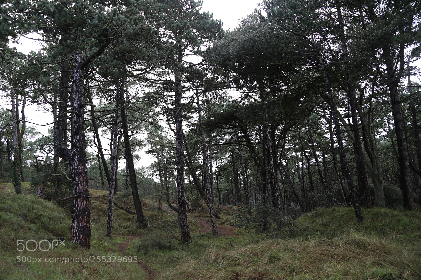 Canon EOS 6D + Canon EF 24-105mm F4L IS USM sample photo. Wells-next-the-sea, norfolk photography
