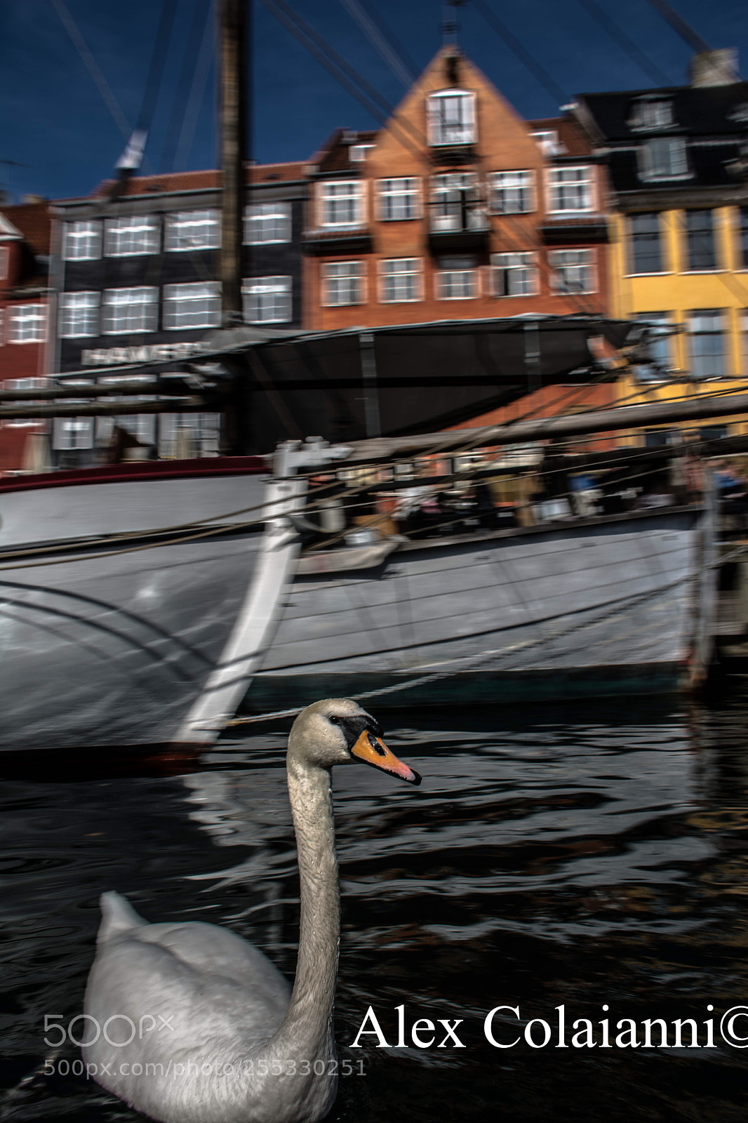 Nikon D7100 sample photo. Panning photography