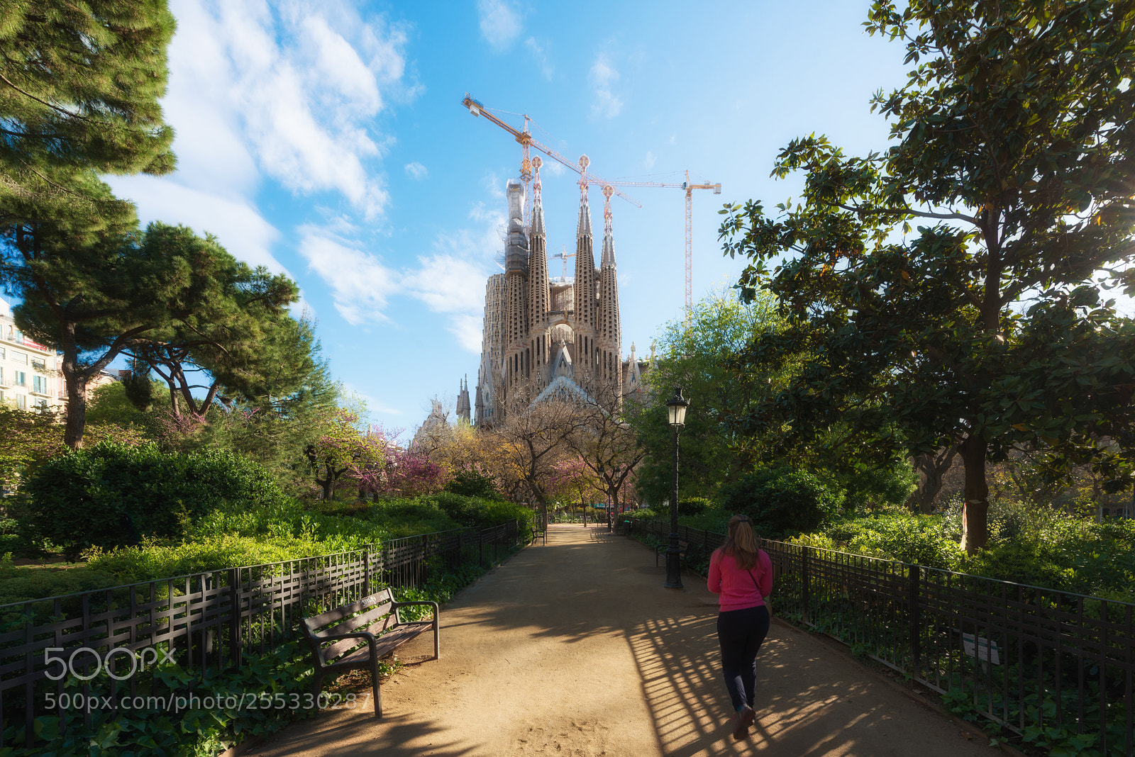 Nikon D800 sample photo. Barcelona, spain - april photography