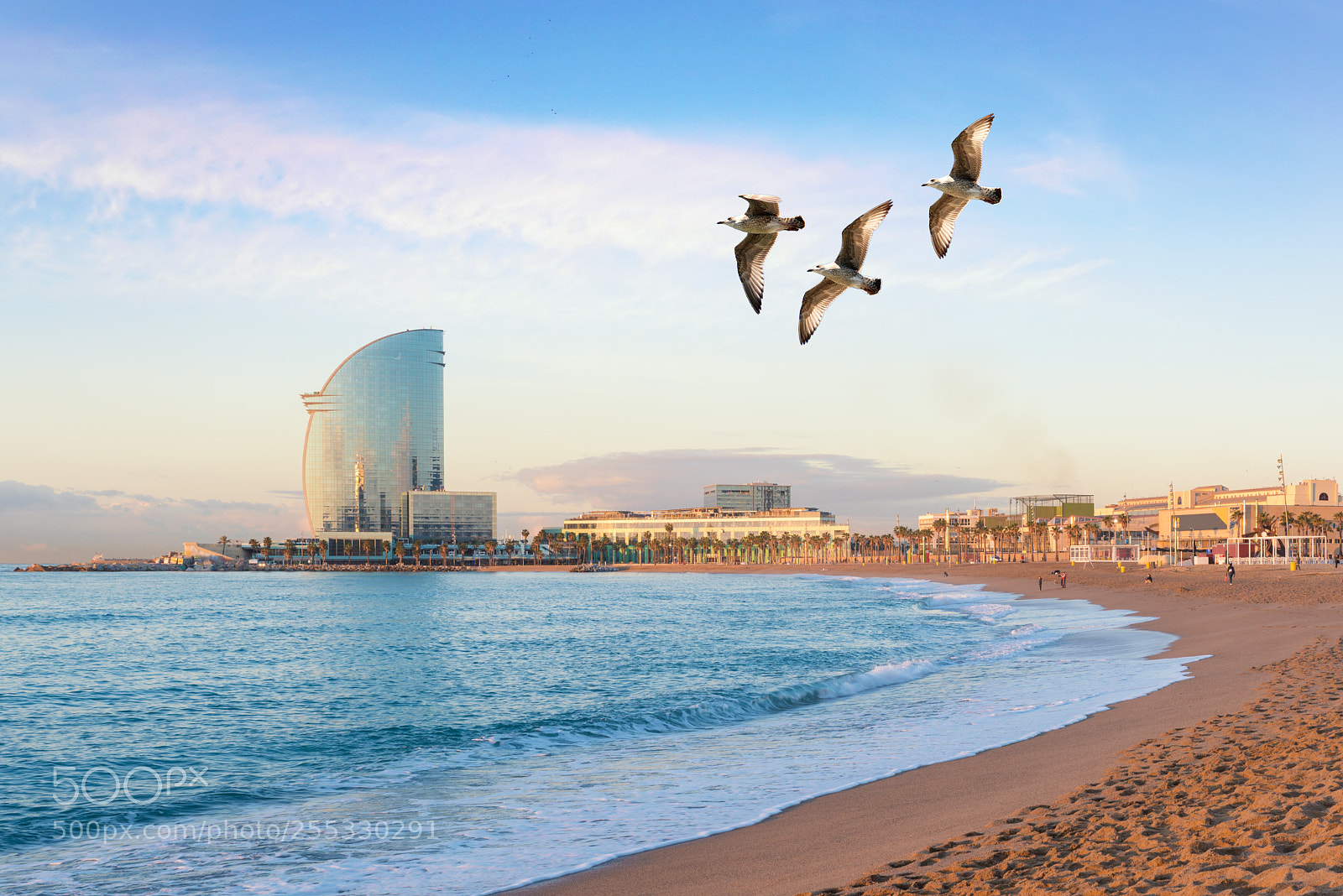 Nikon D800 sample photo. Barceloneta beach in barcelona photography
