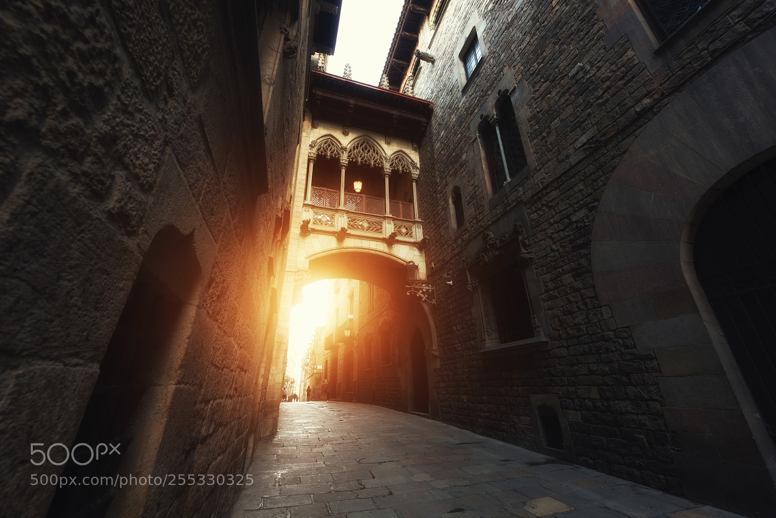 Nikon D800 sample photo. Barri gothic quarter and photography