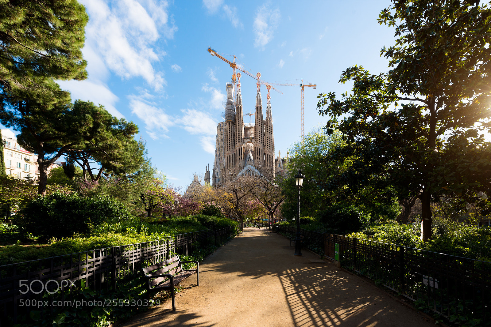 Nikon D800 sample photo. Barcelona, spain - april photography