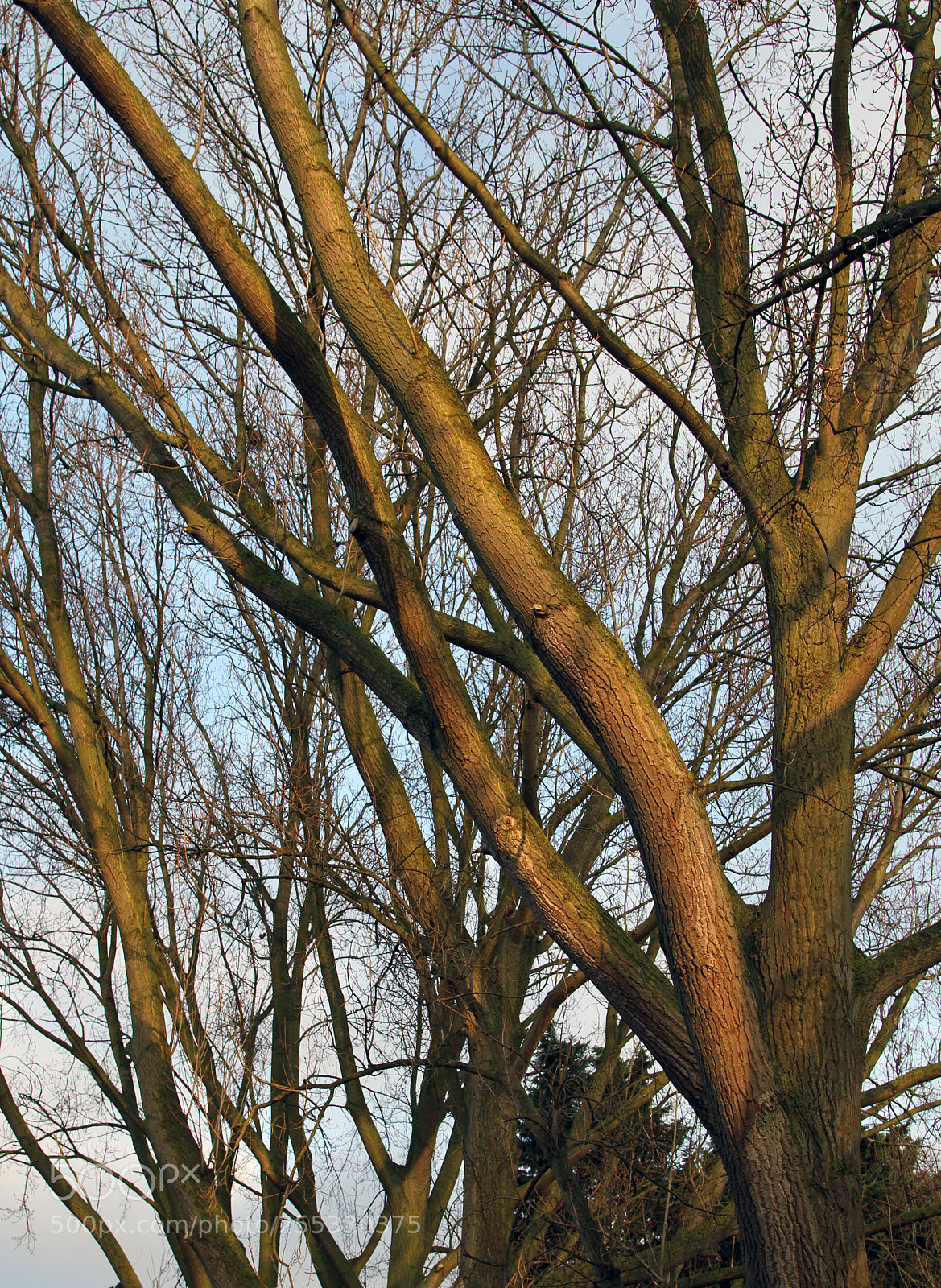 Canon EOS 7D sample photo. In and around ely photography