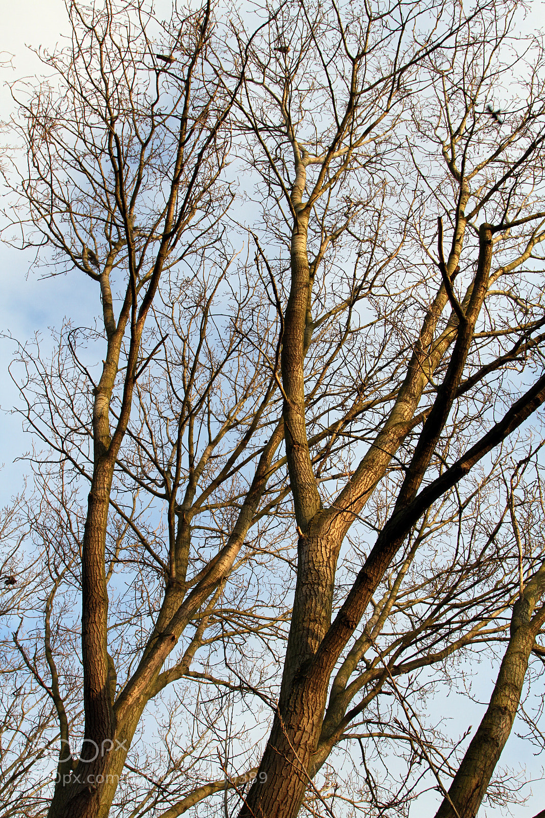 Canon EOS 7D sample photo. In and around ely photography