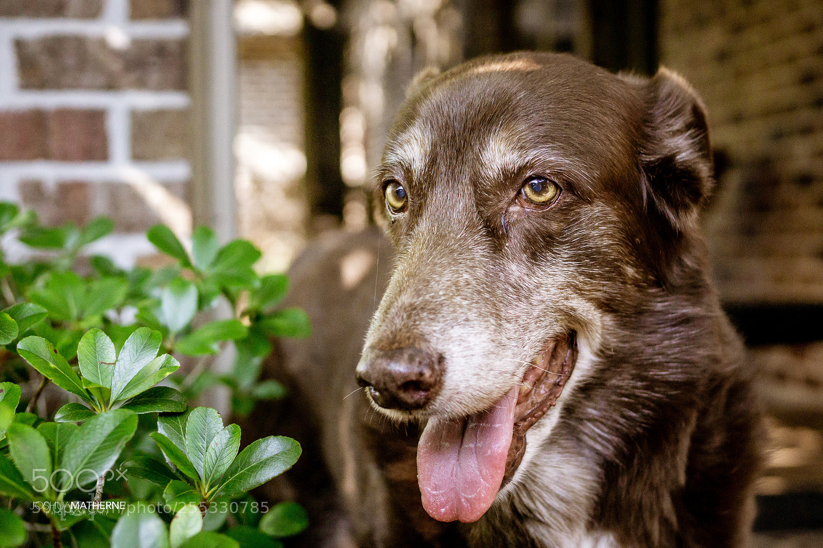 Sony a6000 sample photo. Nice to meet you photography