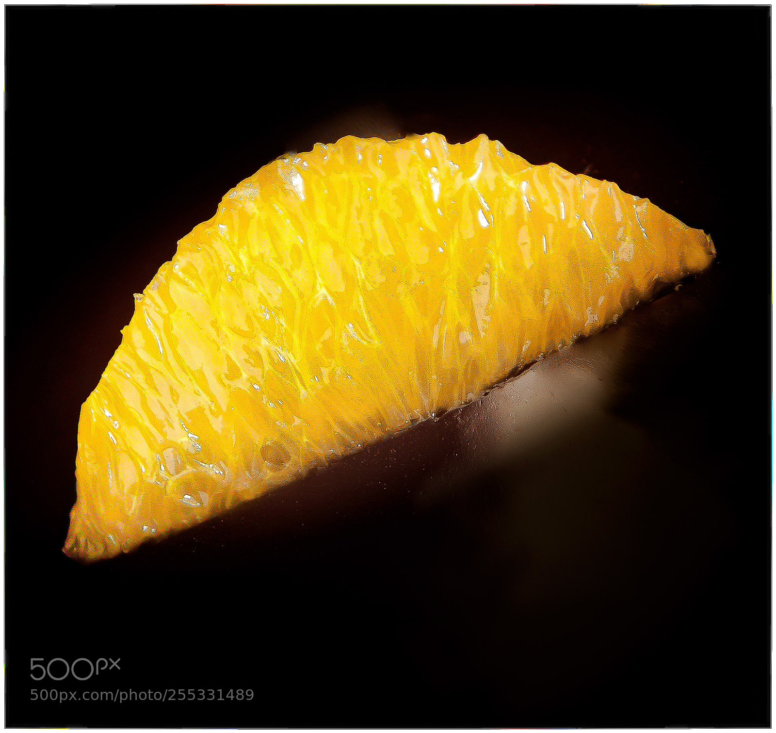 Canon EOS 5D Mark II sample photo. Orange photography