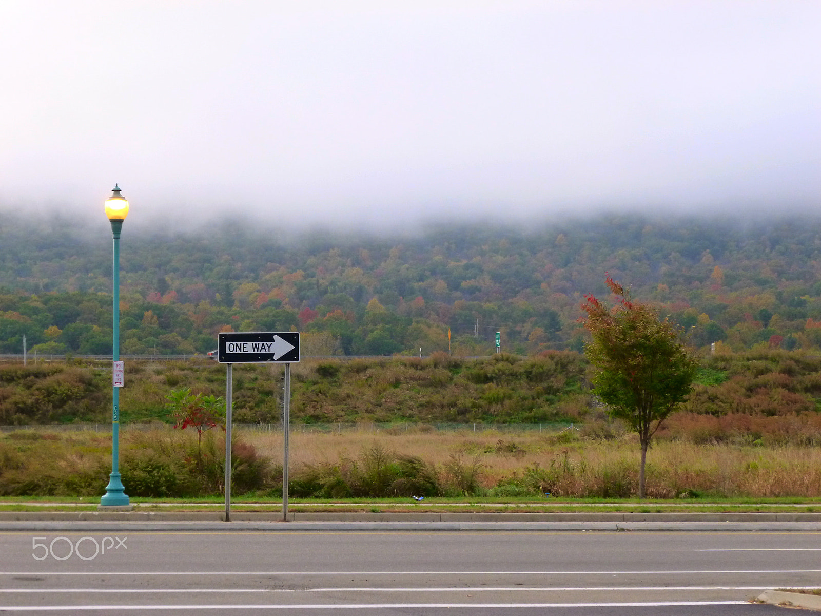 Panasonic DMC-FH25 sample photo. One way sign on empty road photography