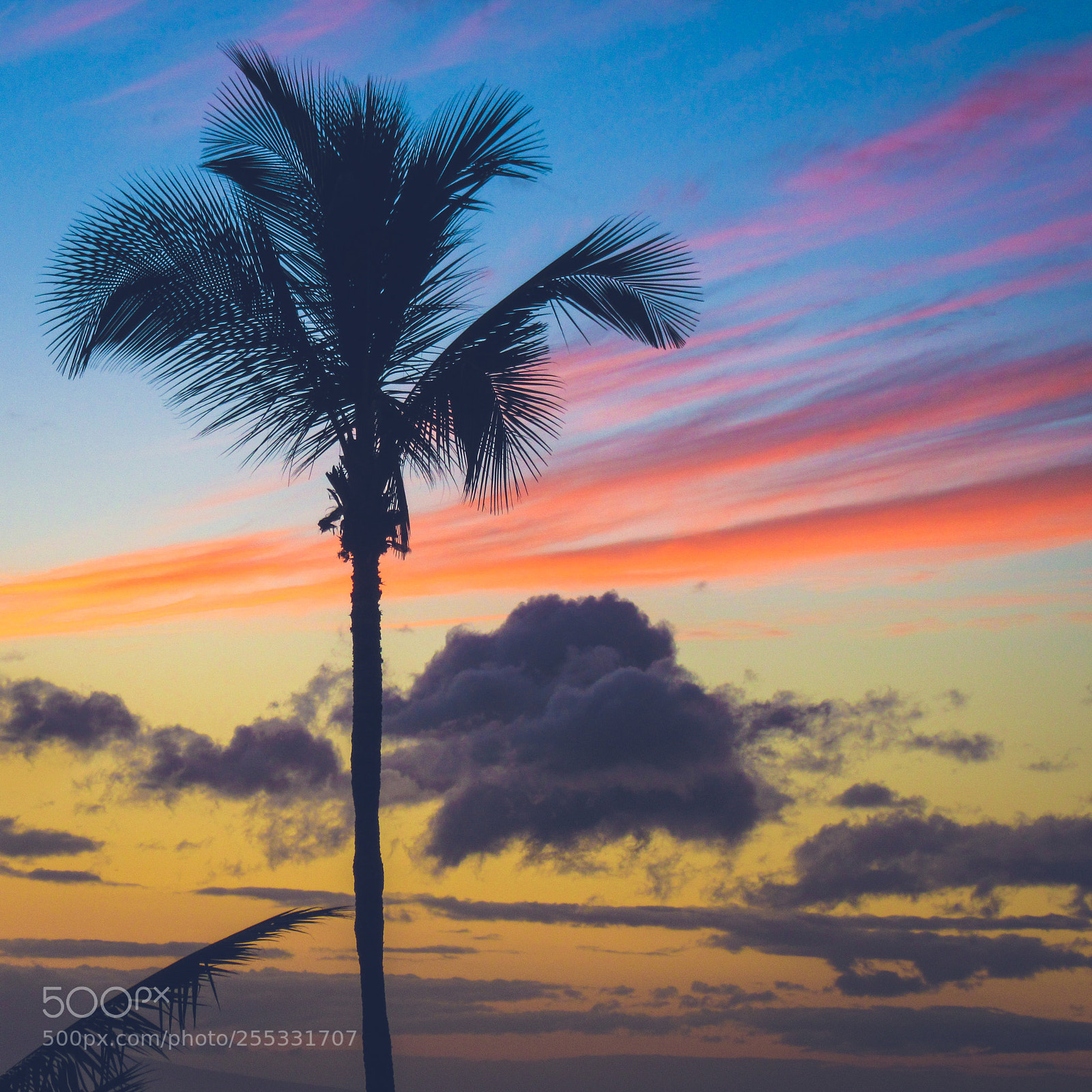 Canon PowerShot SX610 HS sample photo. Makena beach sunset photography