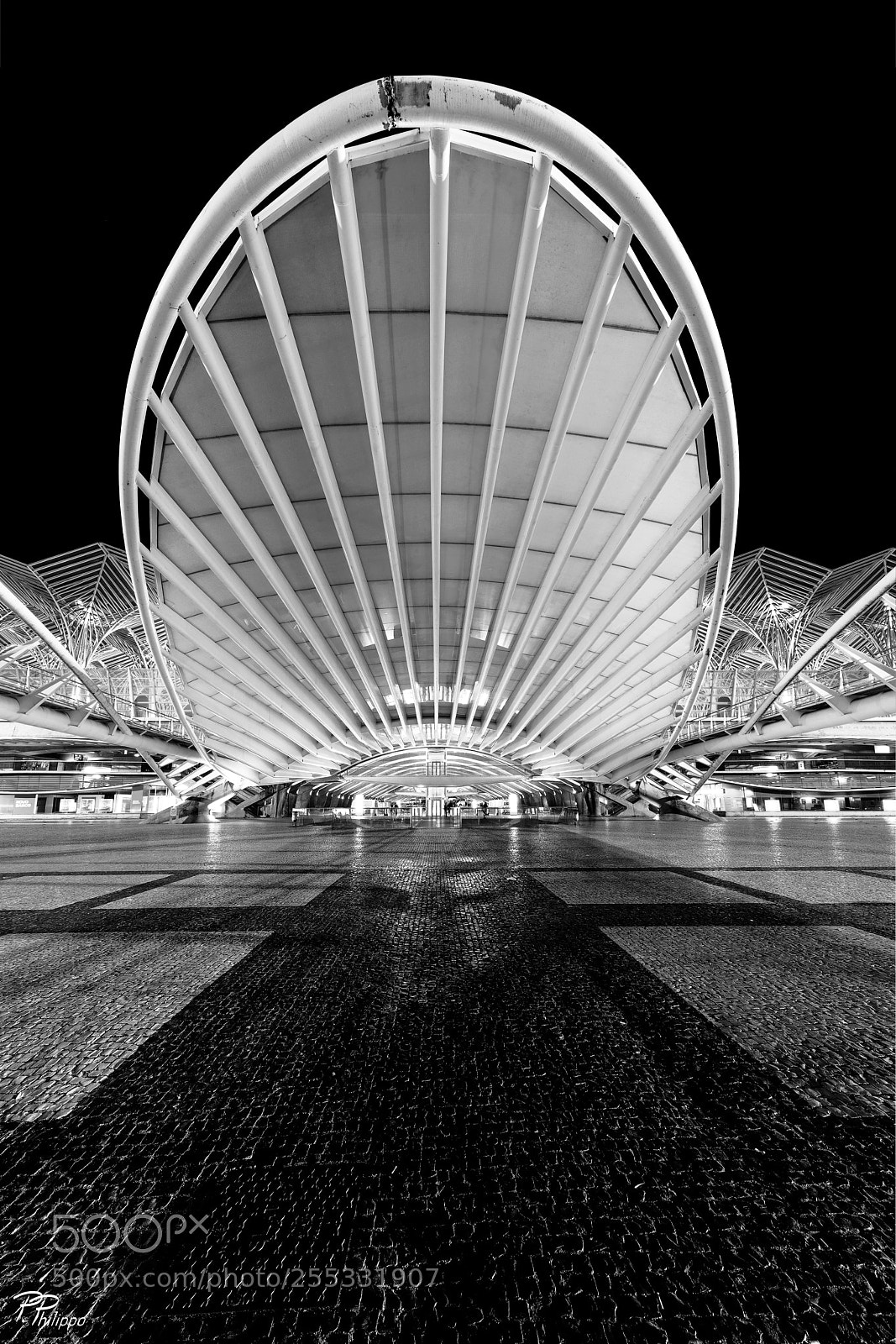 Canon EOS 5D Mark IV sample photo. St jacques shell photography